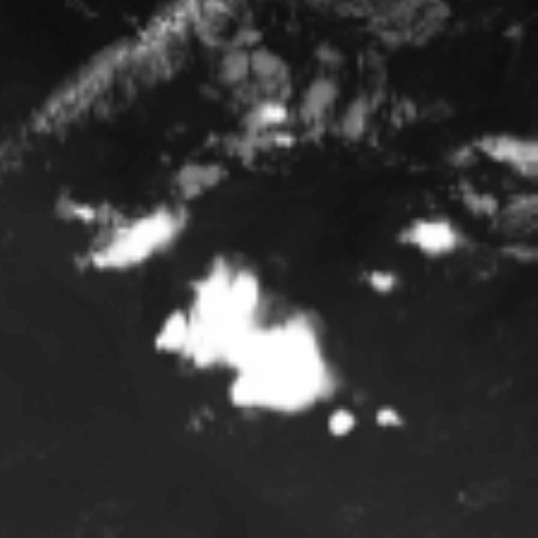 satLayer
