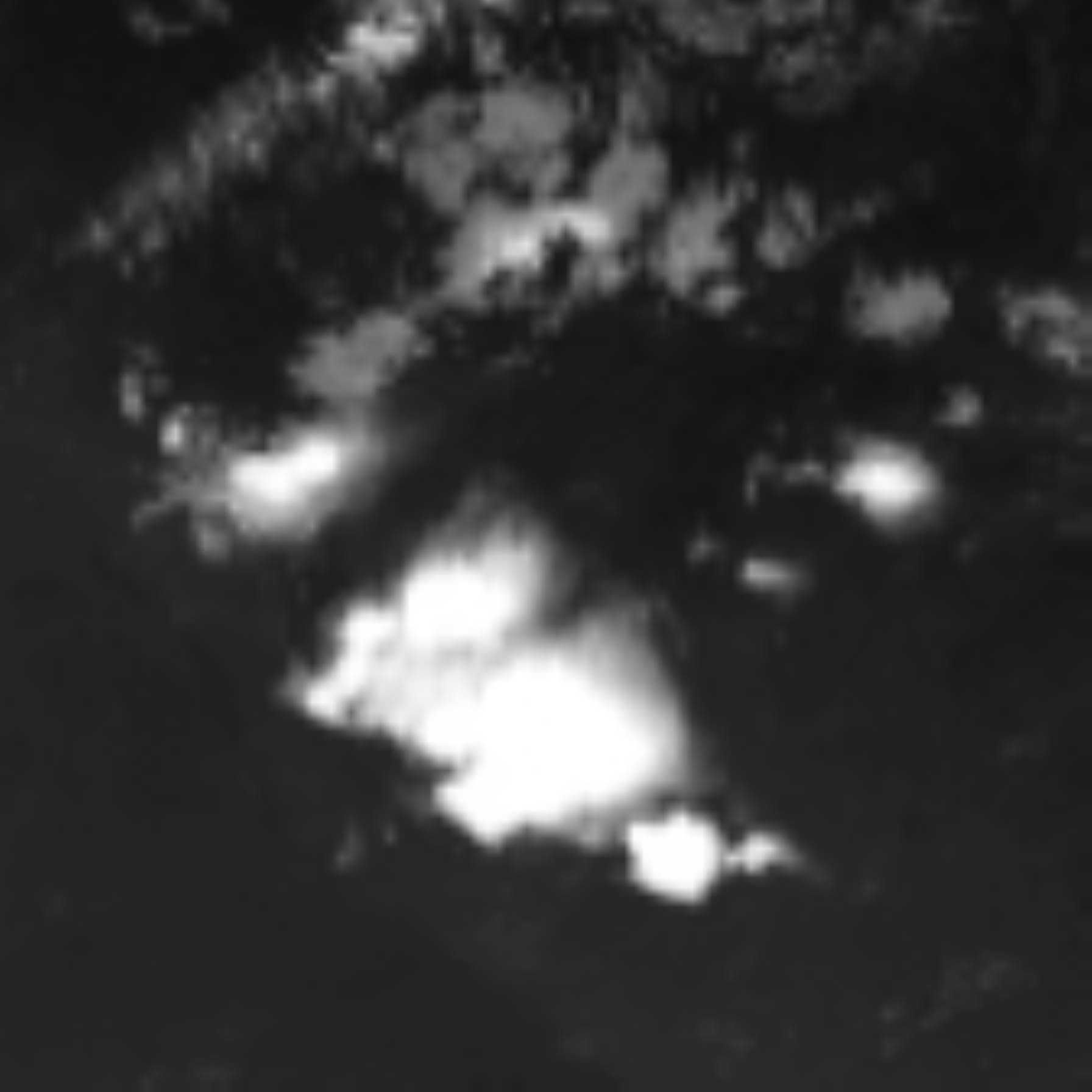 satLayer