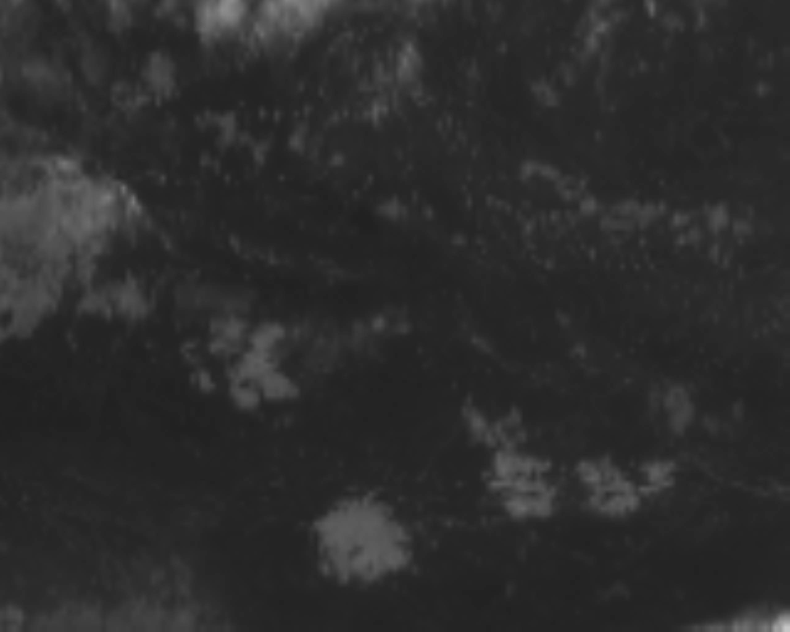 satLayer
