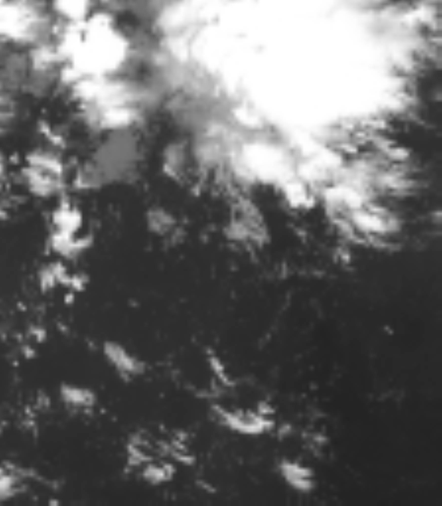 satLayer