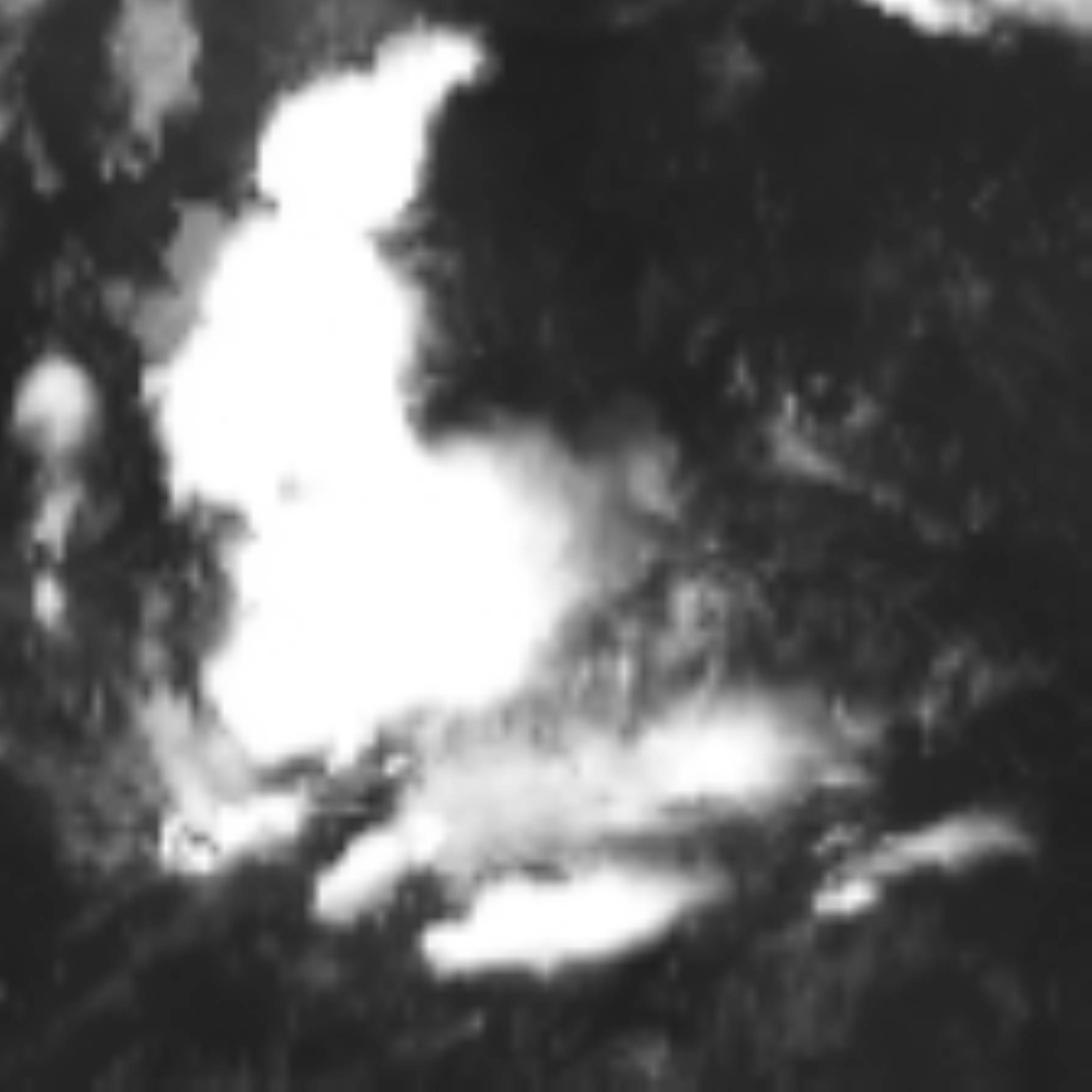 satLayer