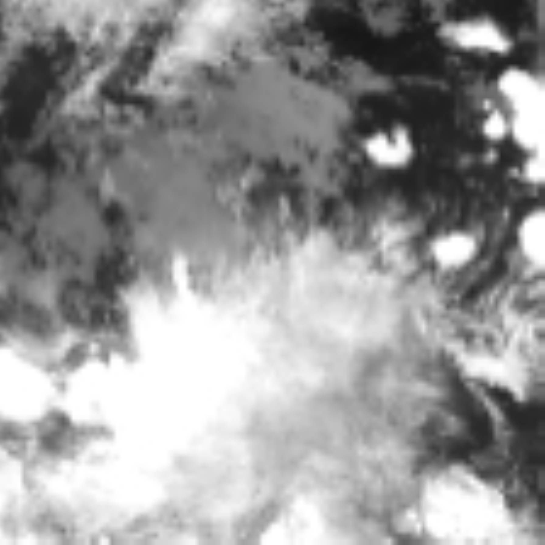 satLayer