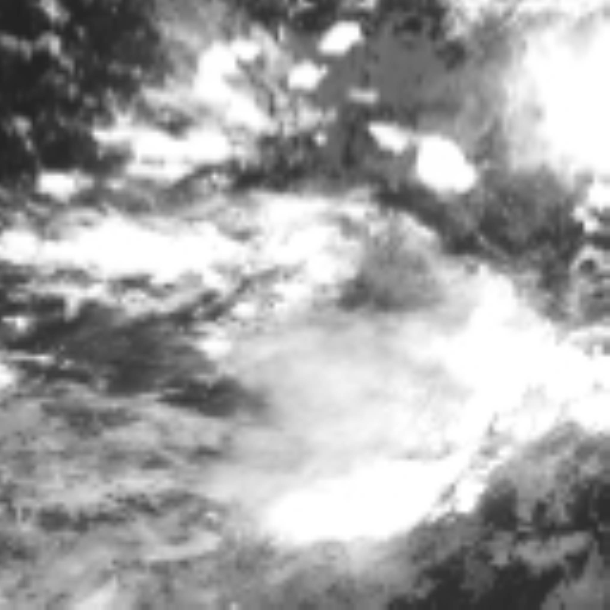 satLayer