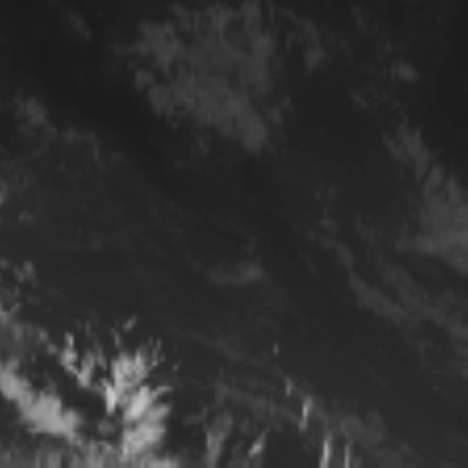 satLayer