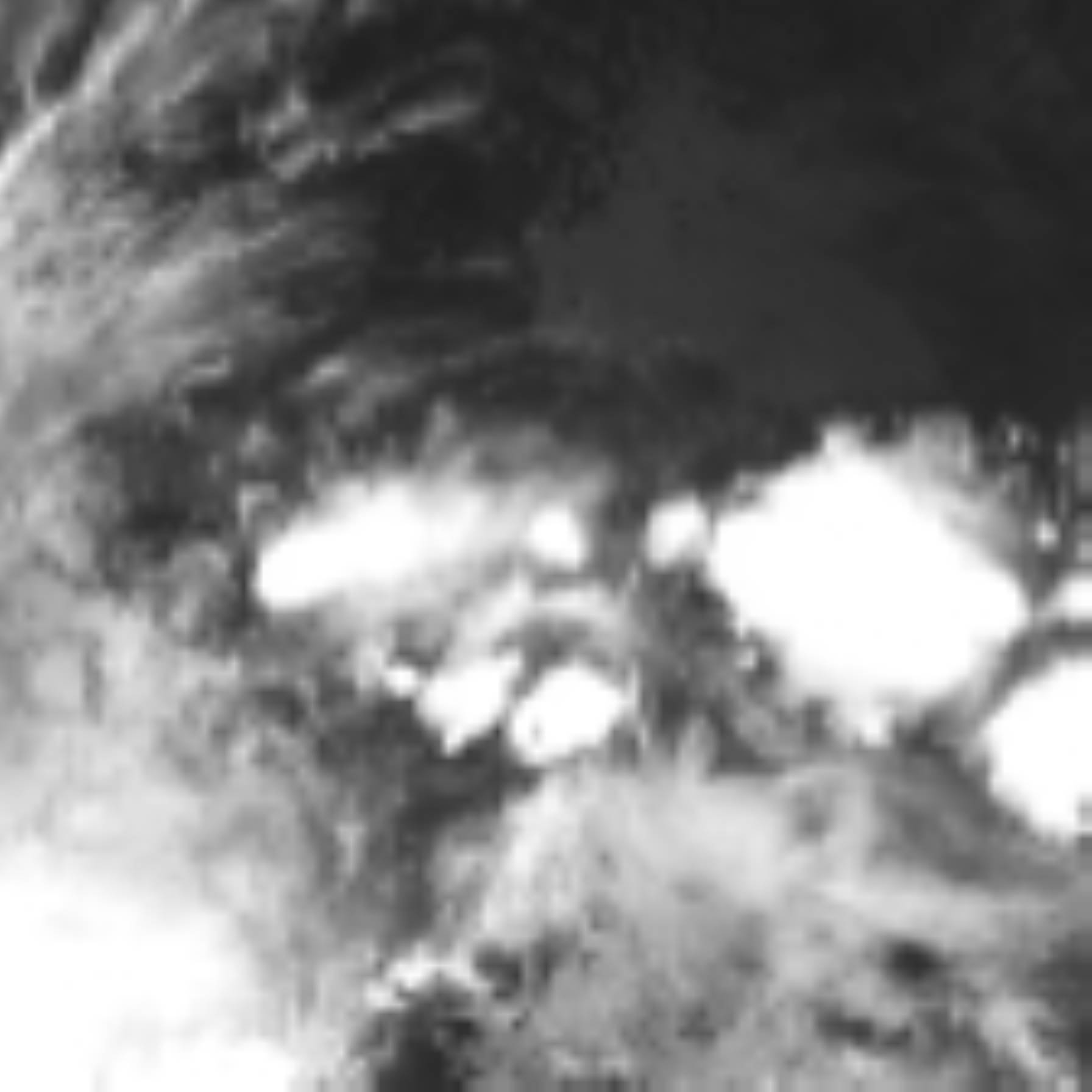 satLayer