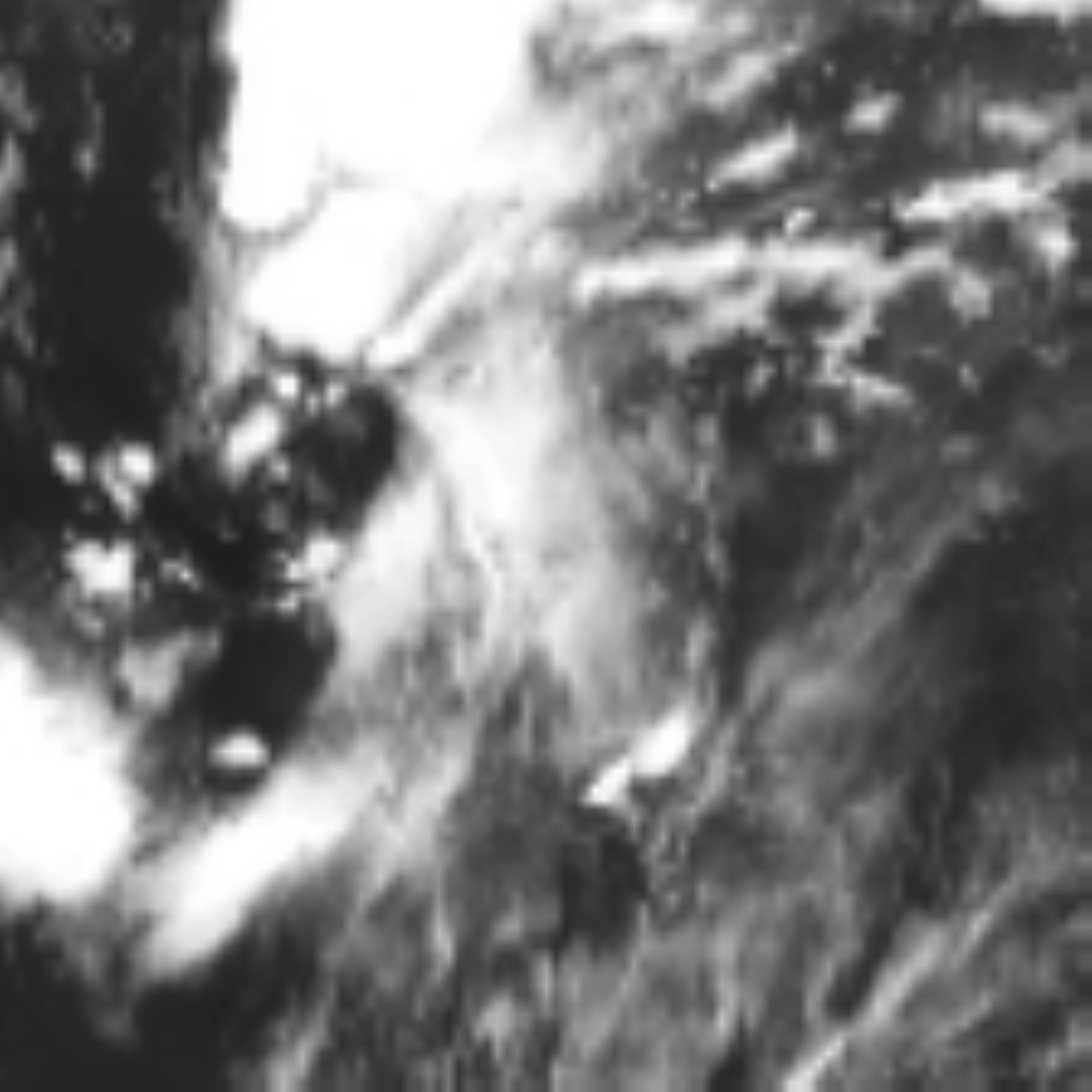 satLayer