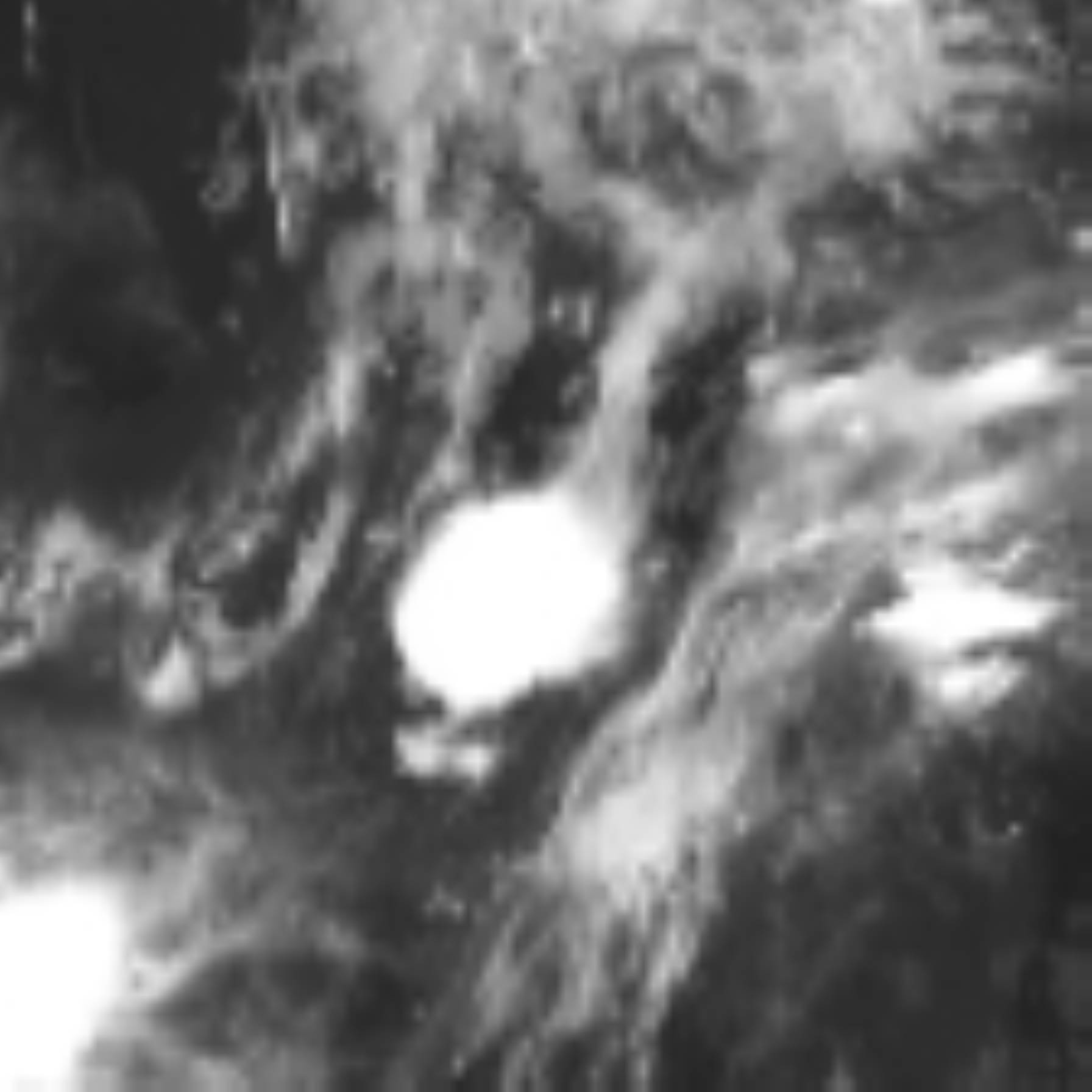 satLayer