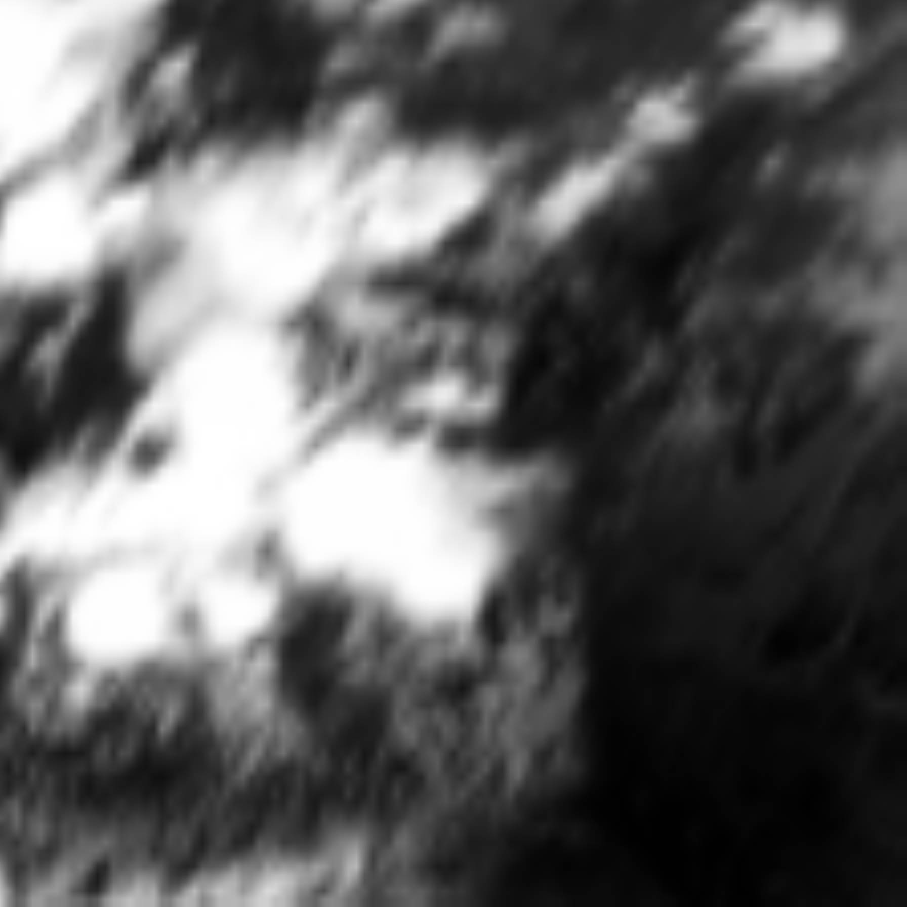 satLayer