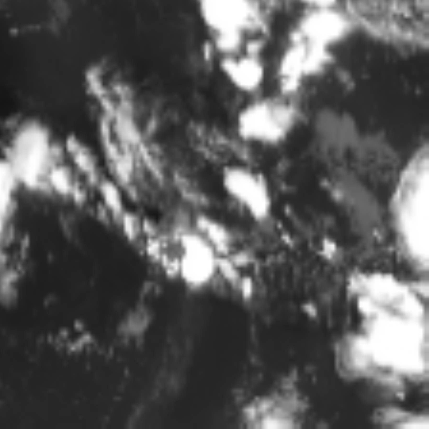 satLayer