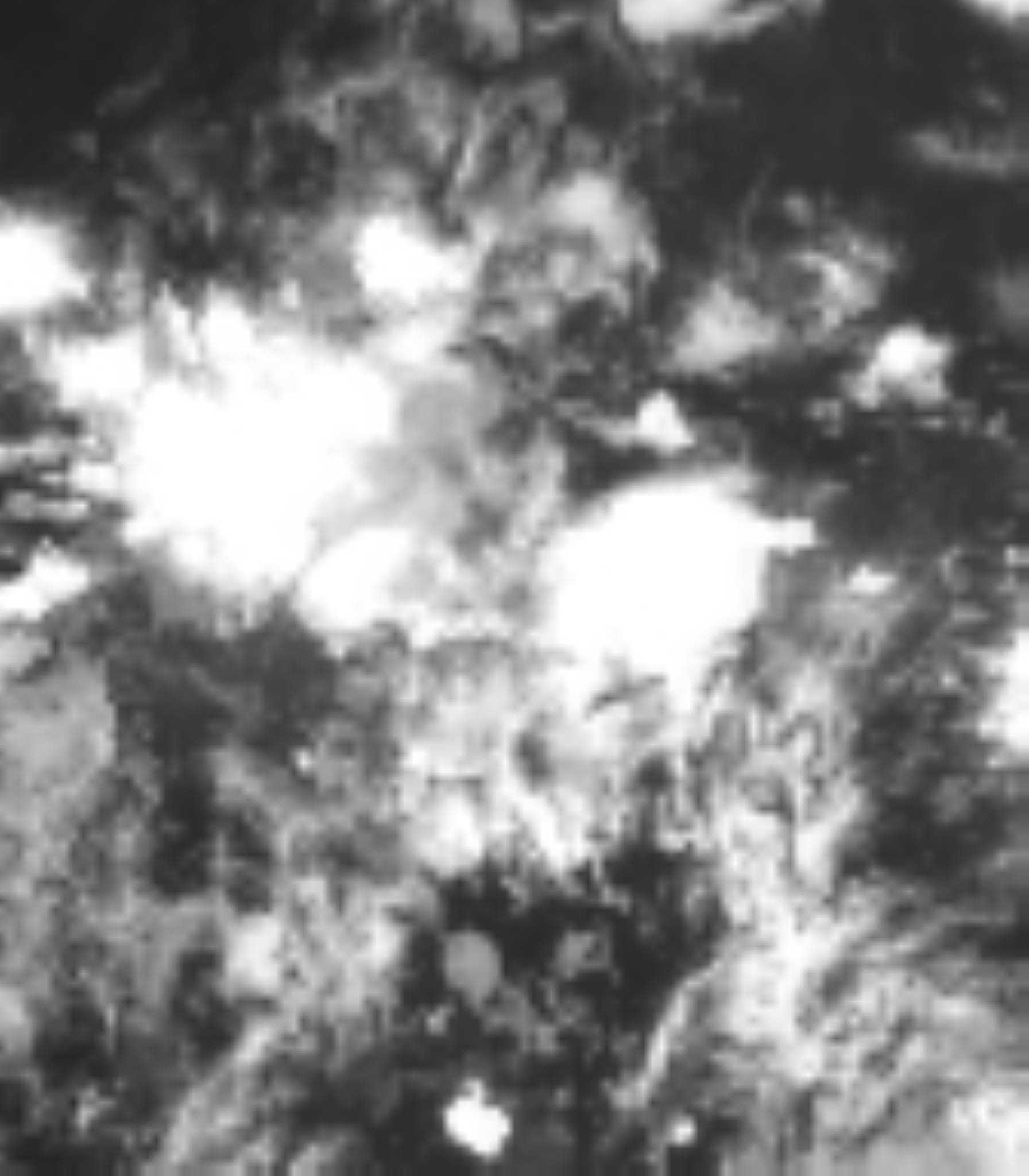 satLayer
