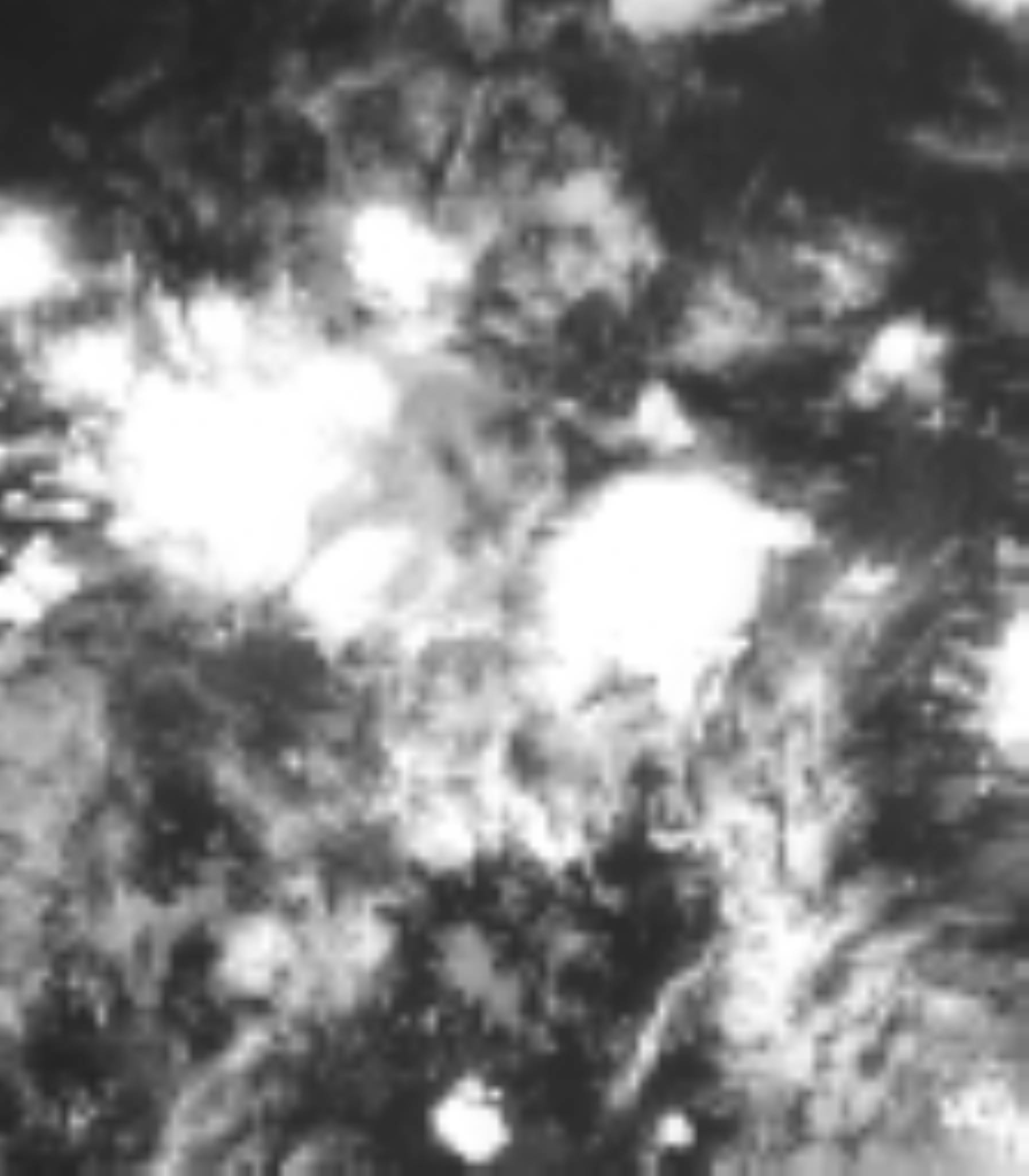 satLayer
