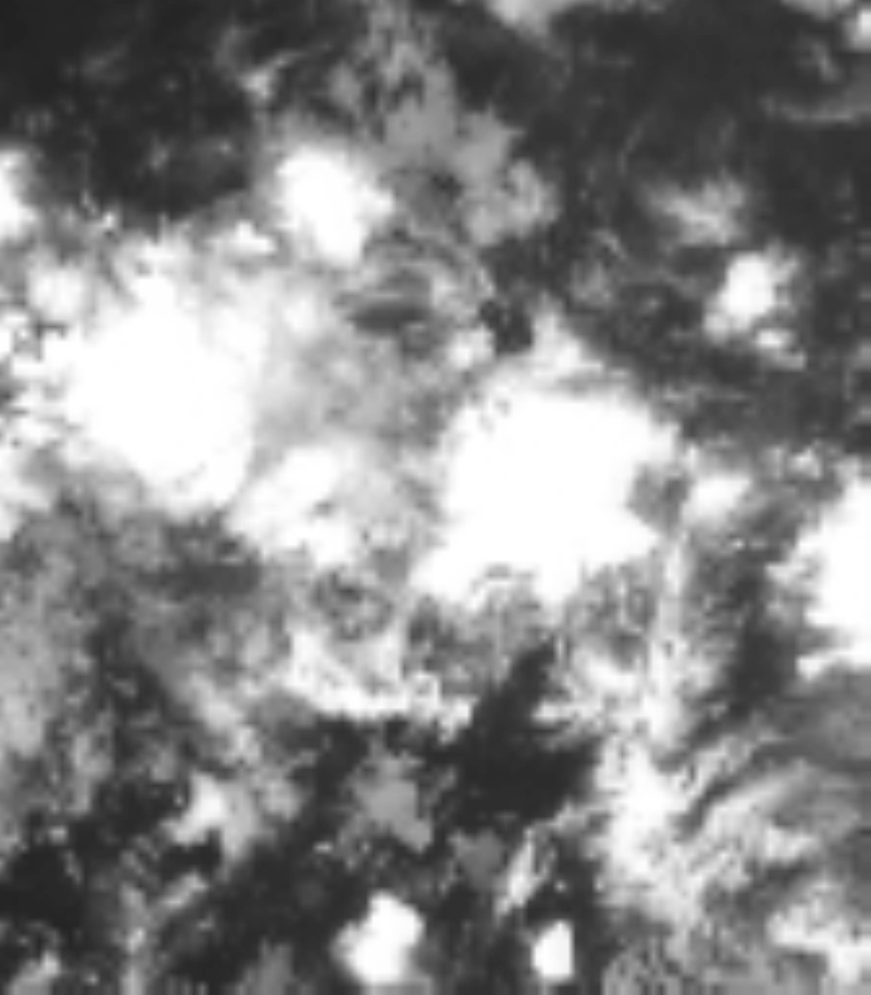 satLayer