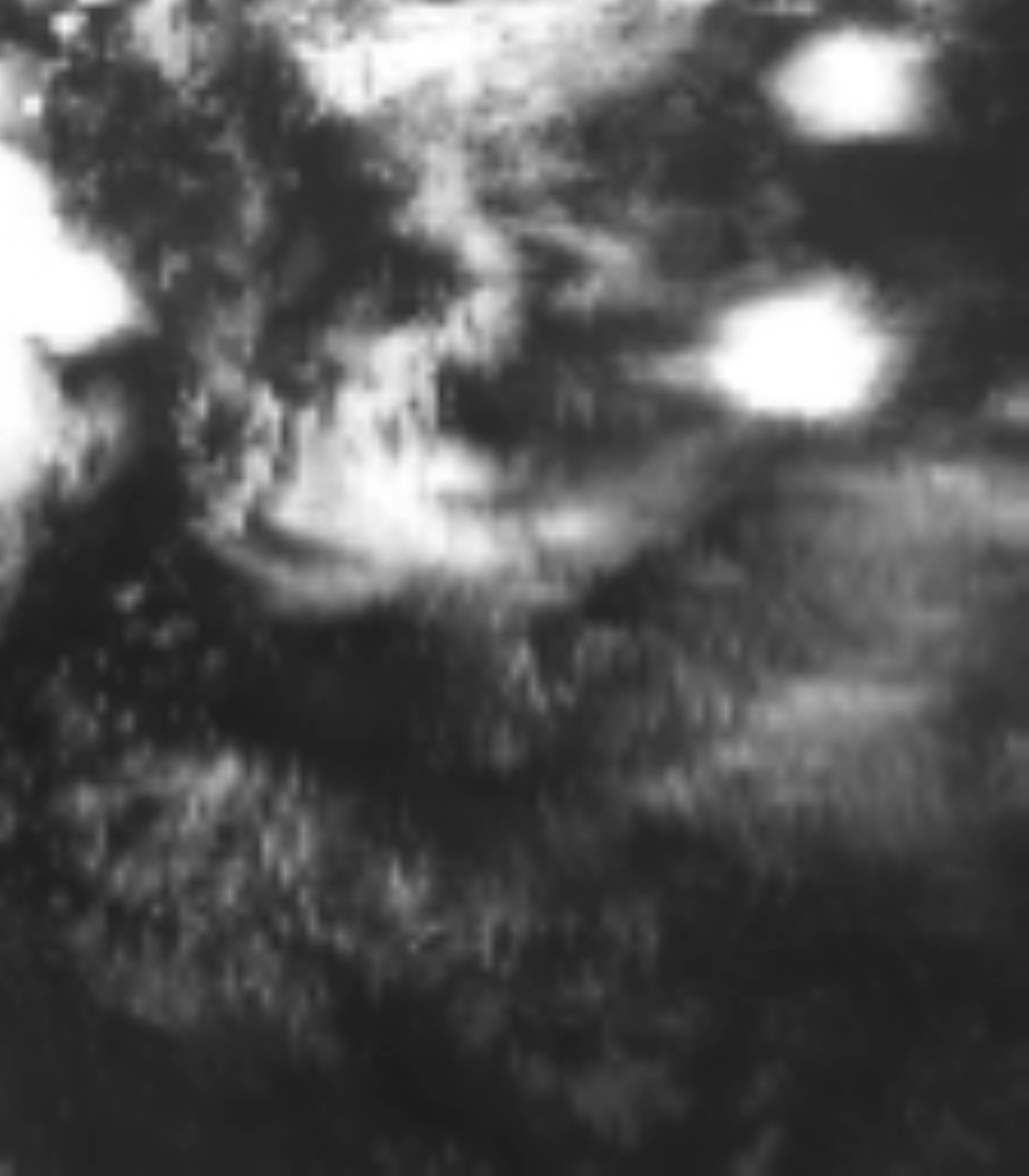 satLayer