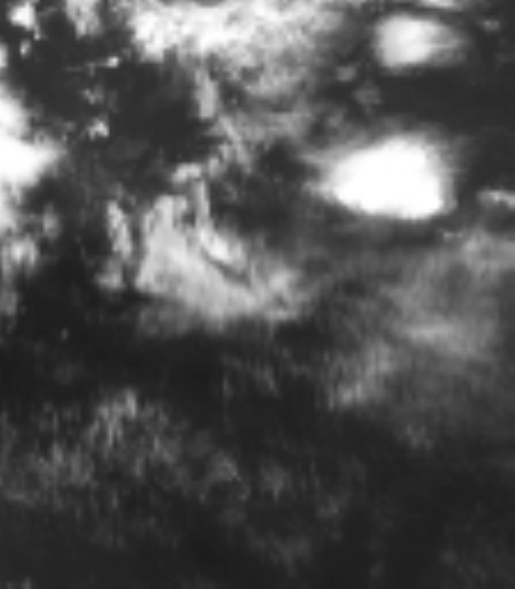 satLayer