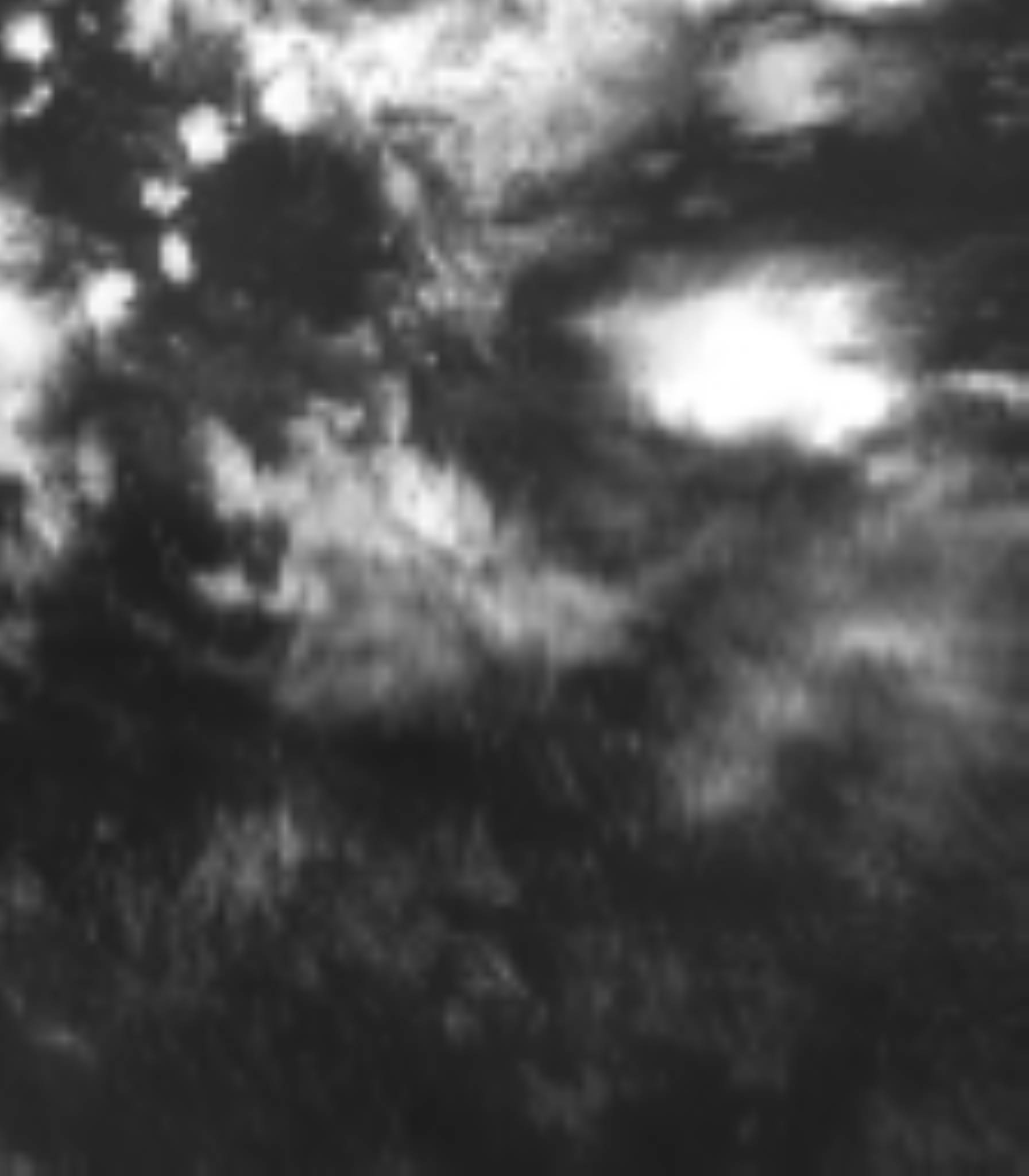 satLayer
