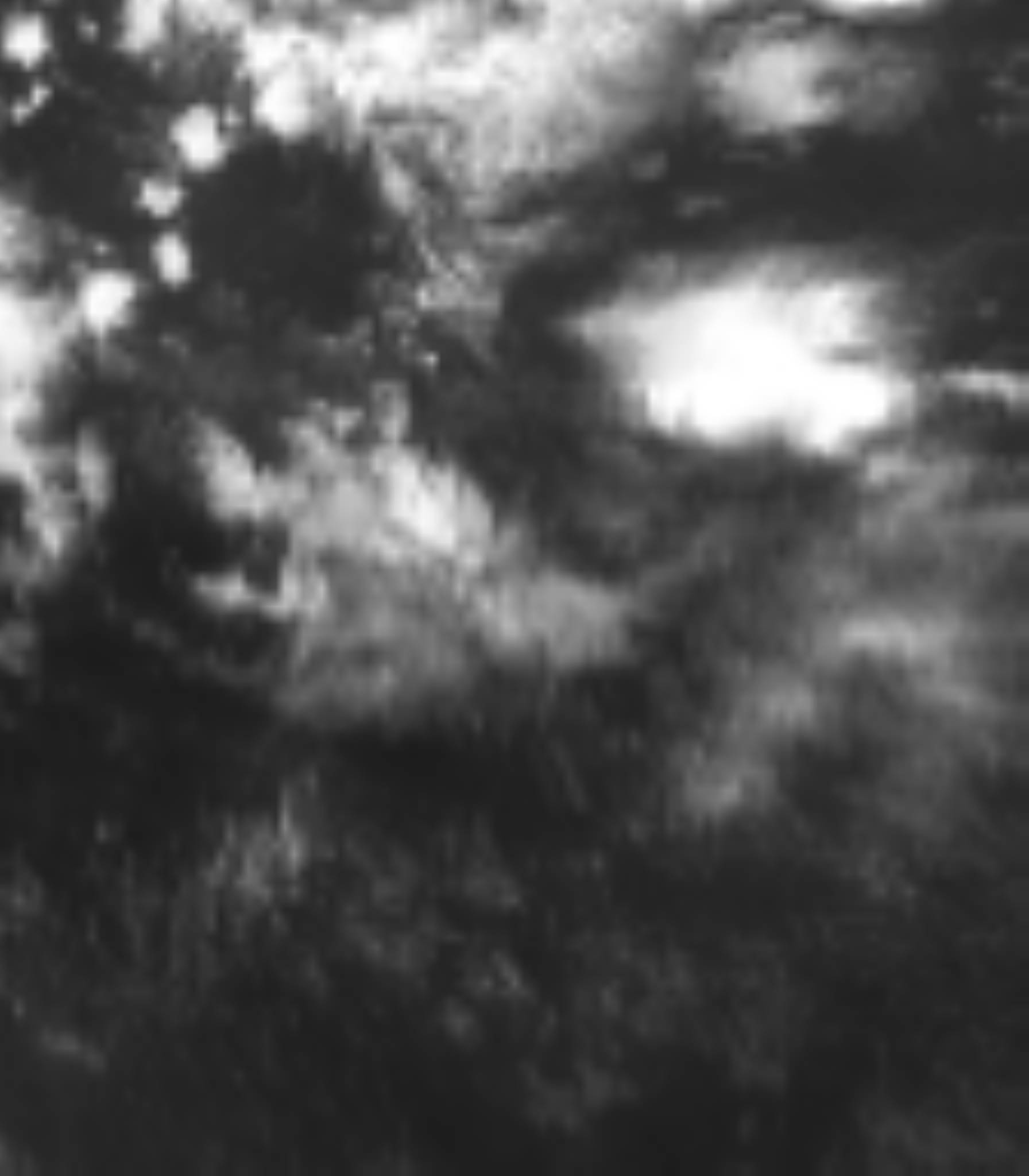 satLayer