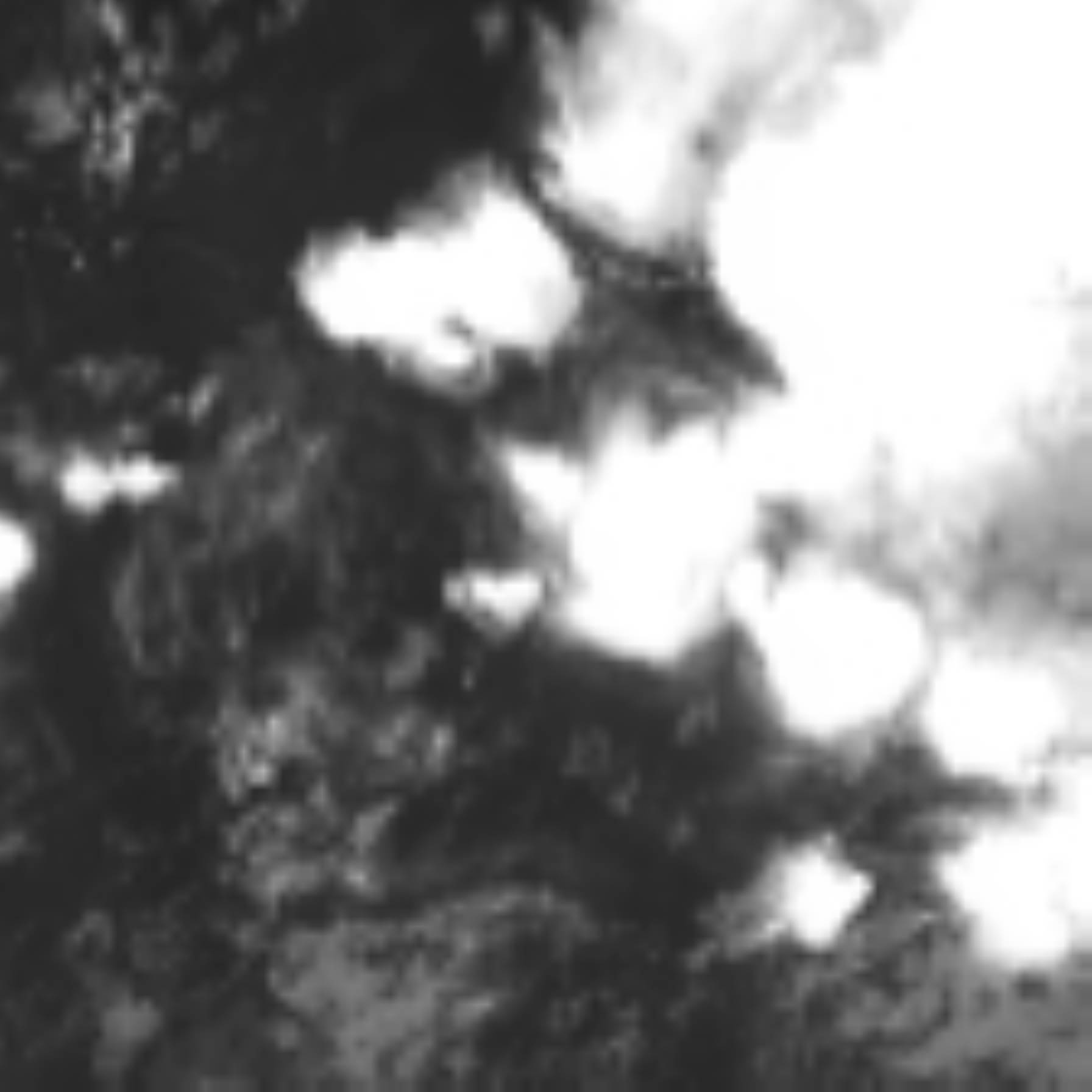 satLayer