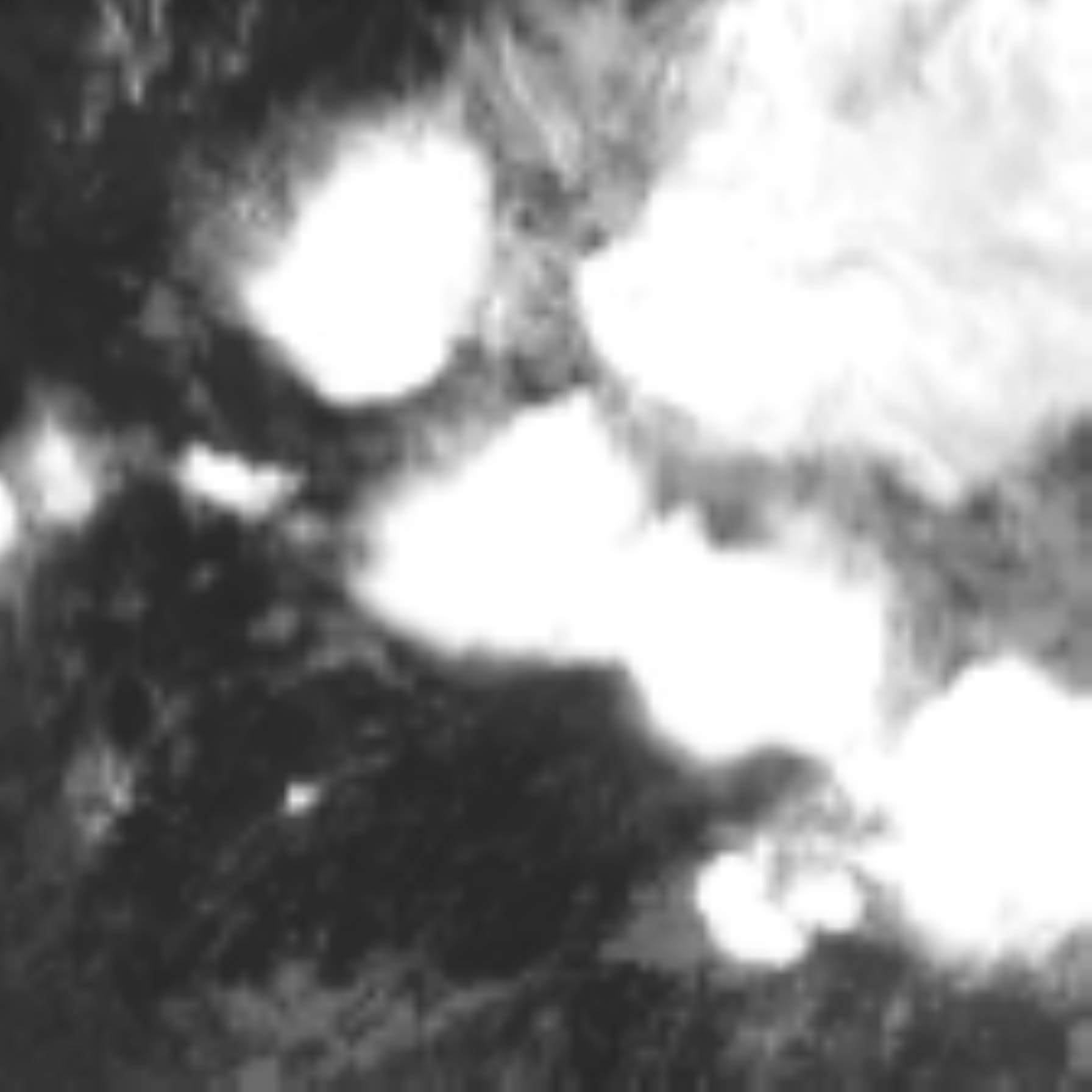 satLayer