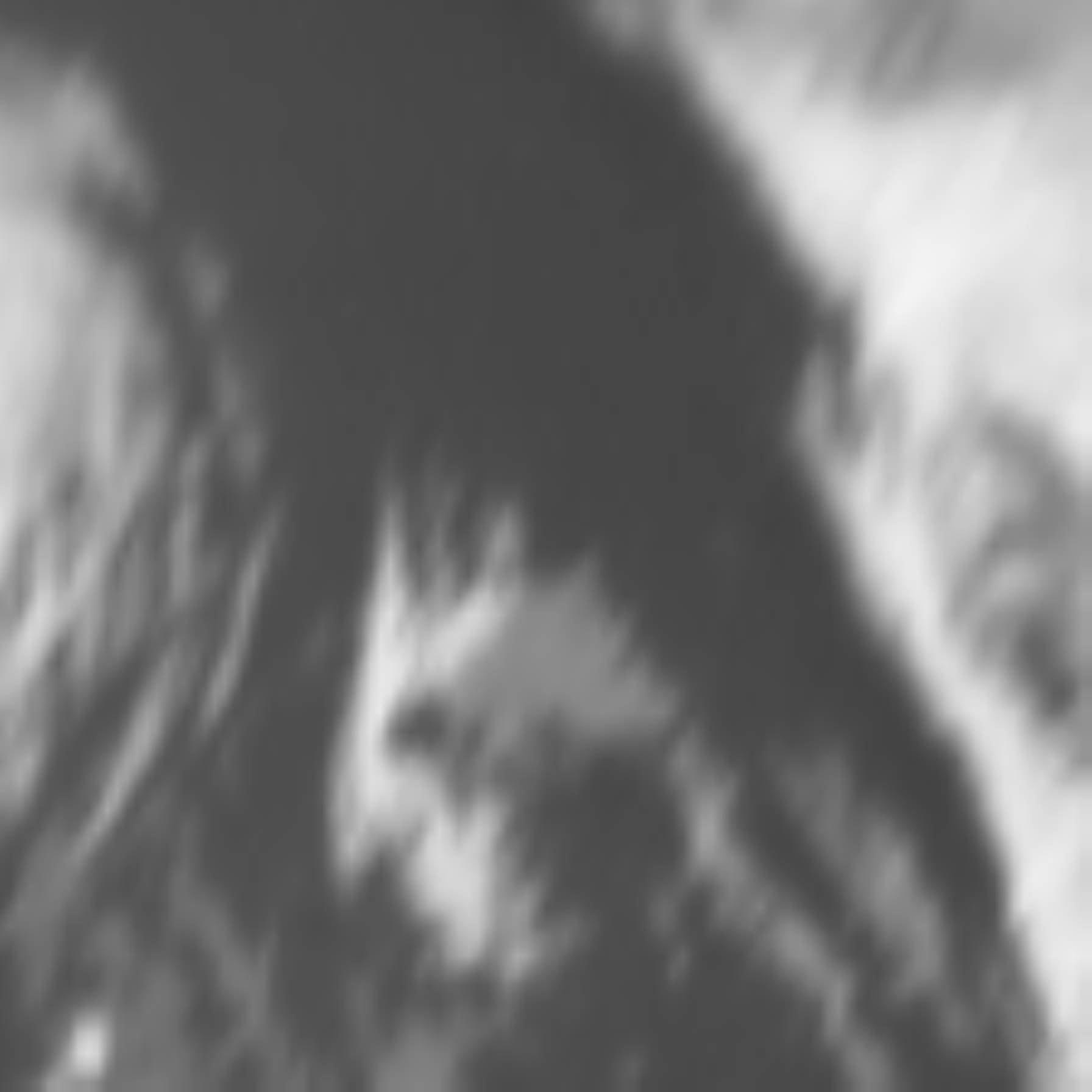 satLayer