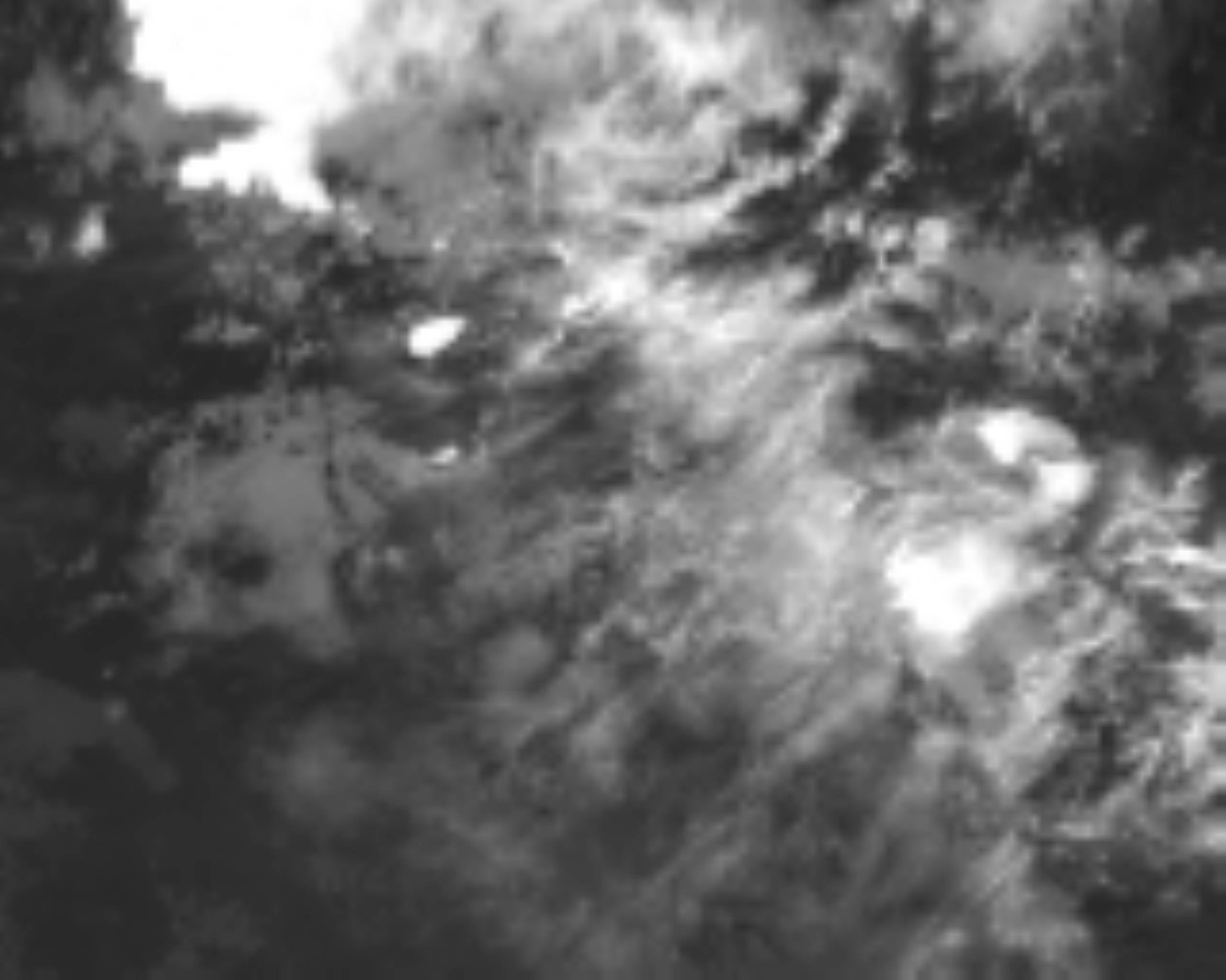 satLayer