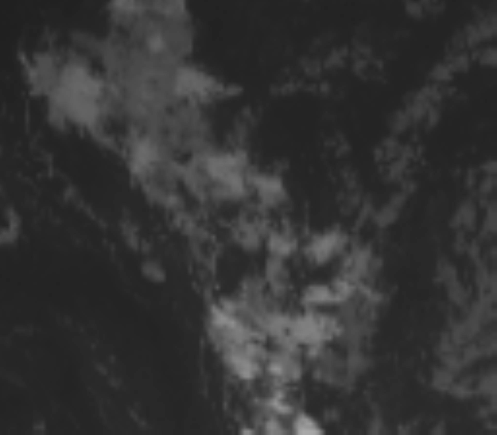 satLayer