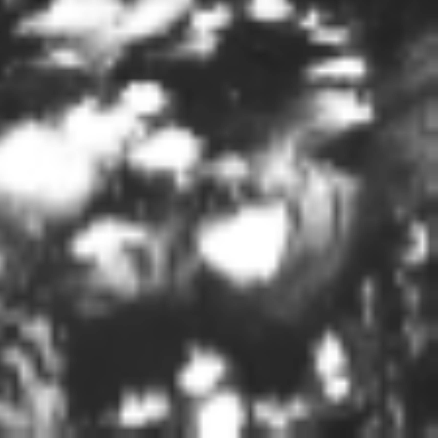 satLayer
