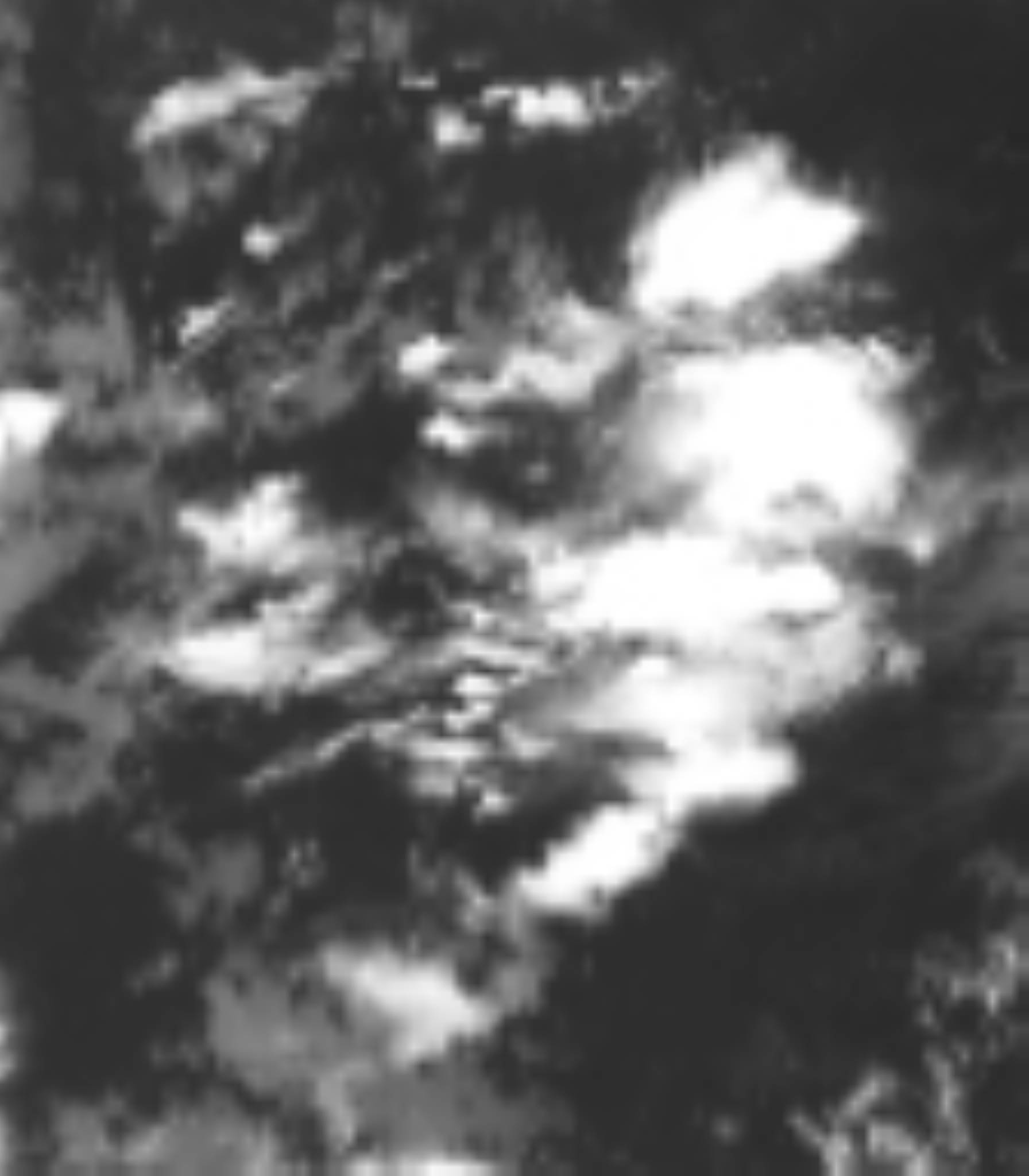 satLayer