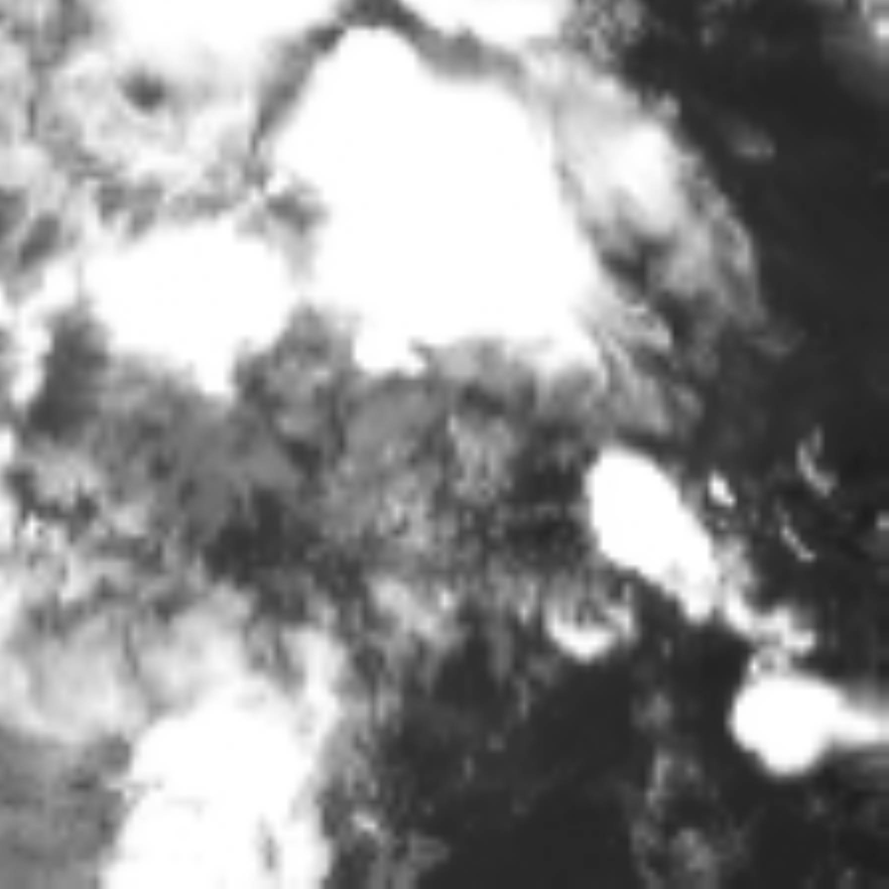 satLayer