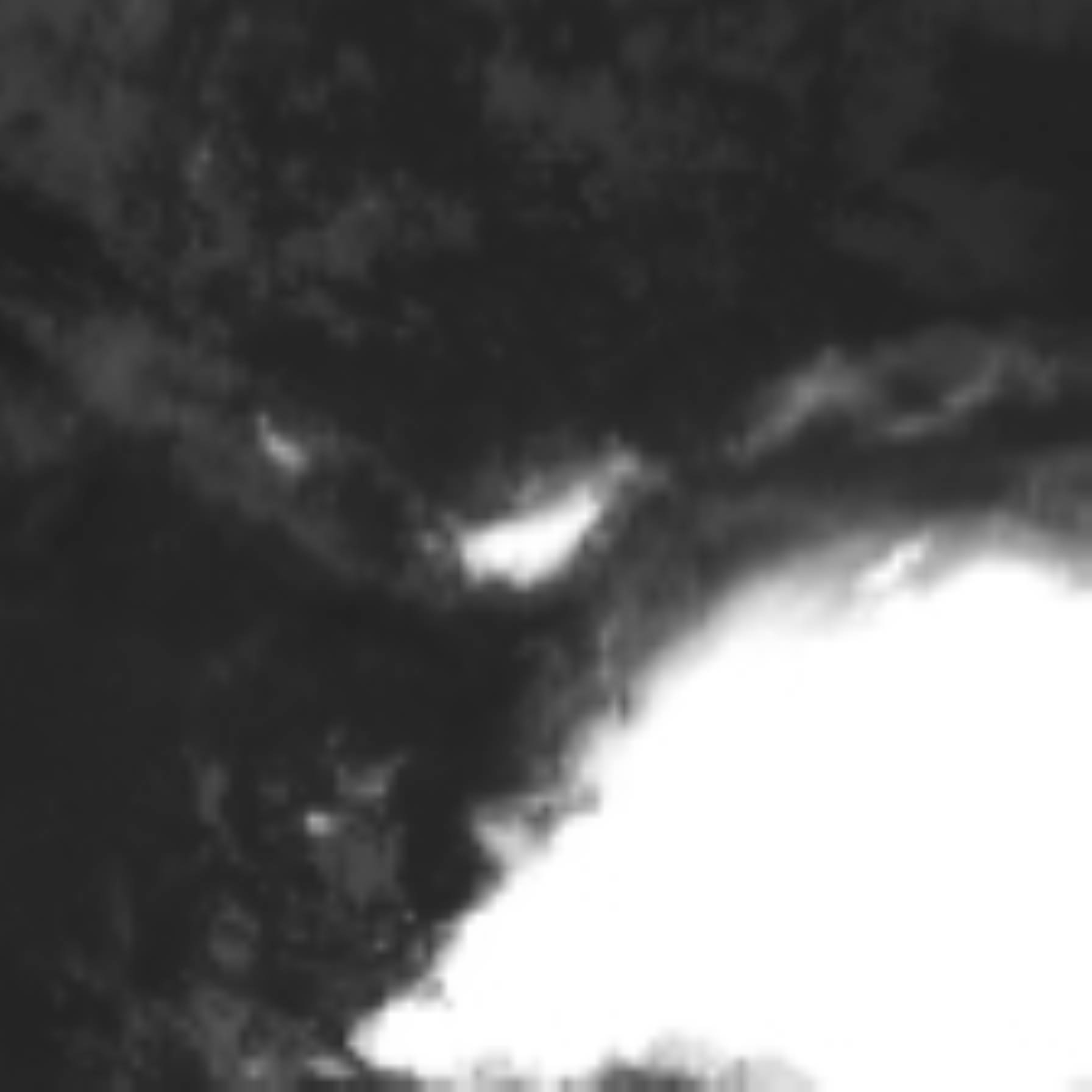 satLayer