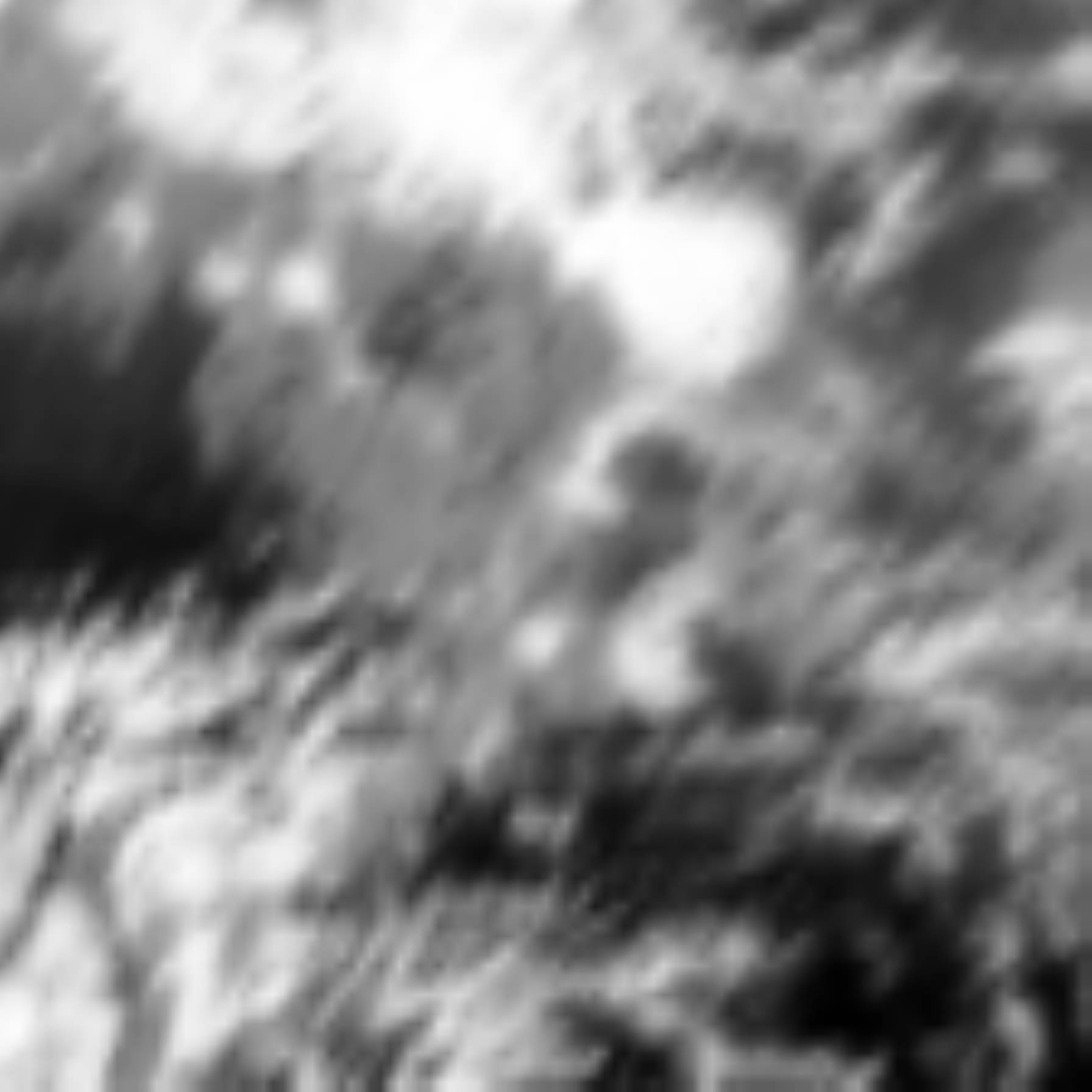 satLayer