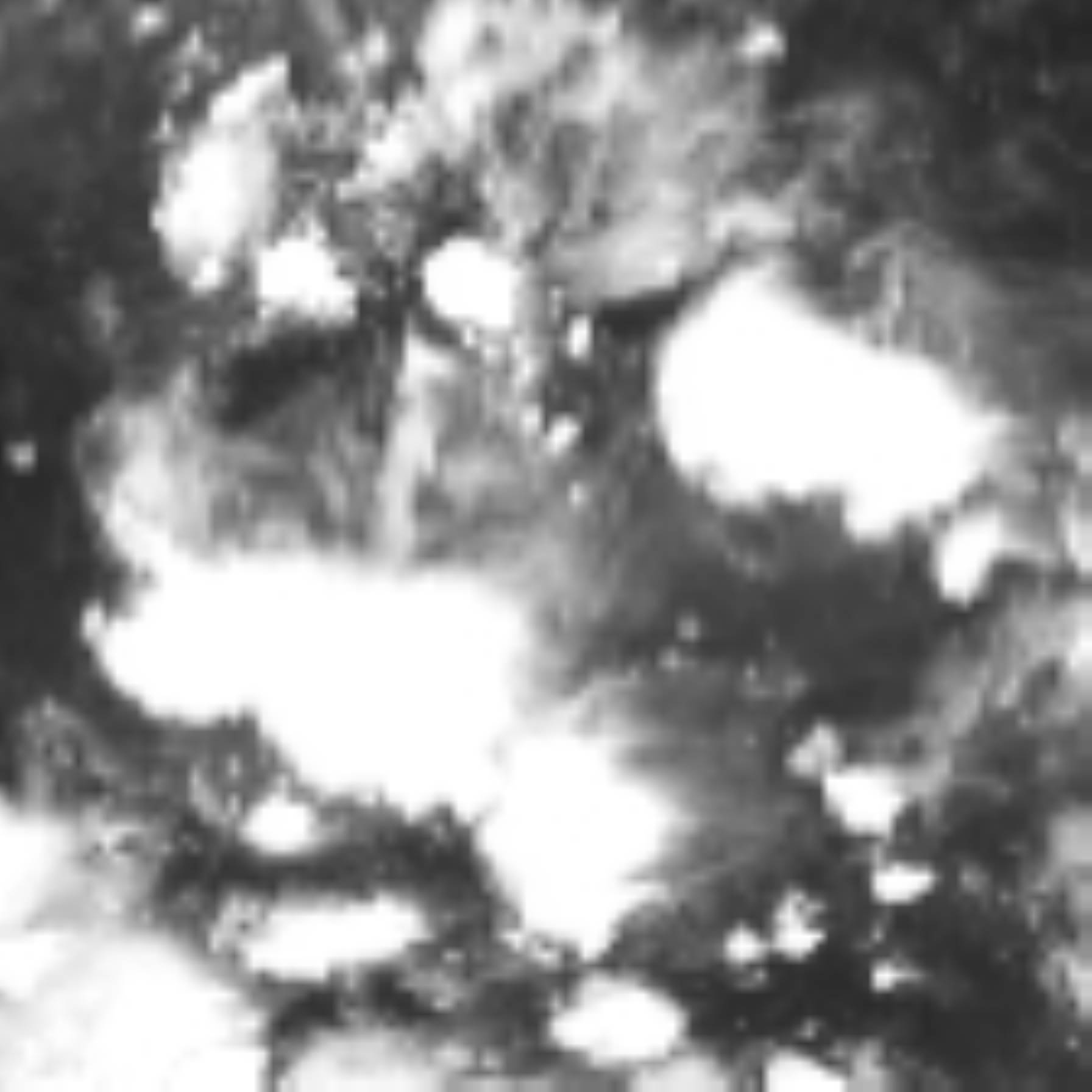 satLayer