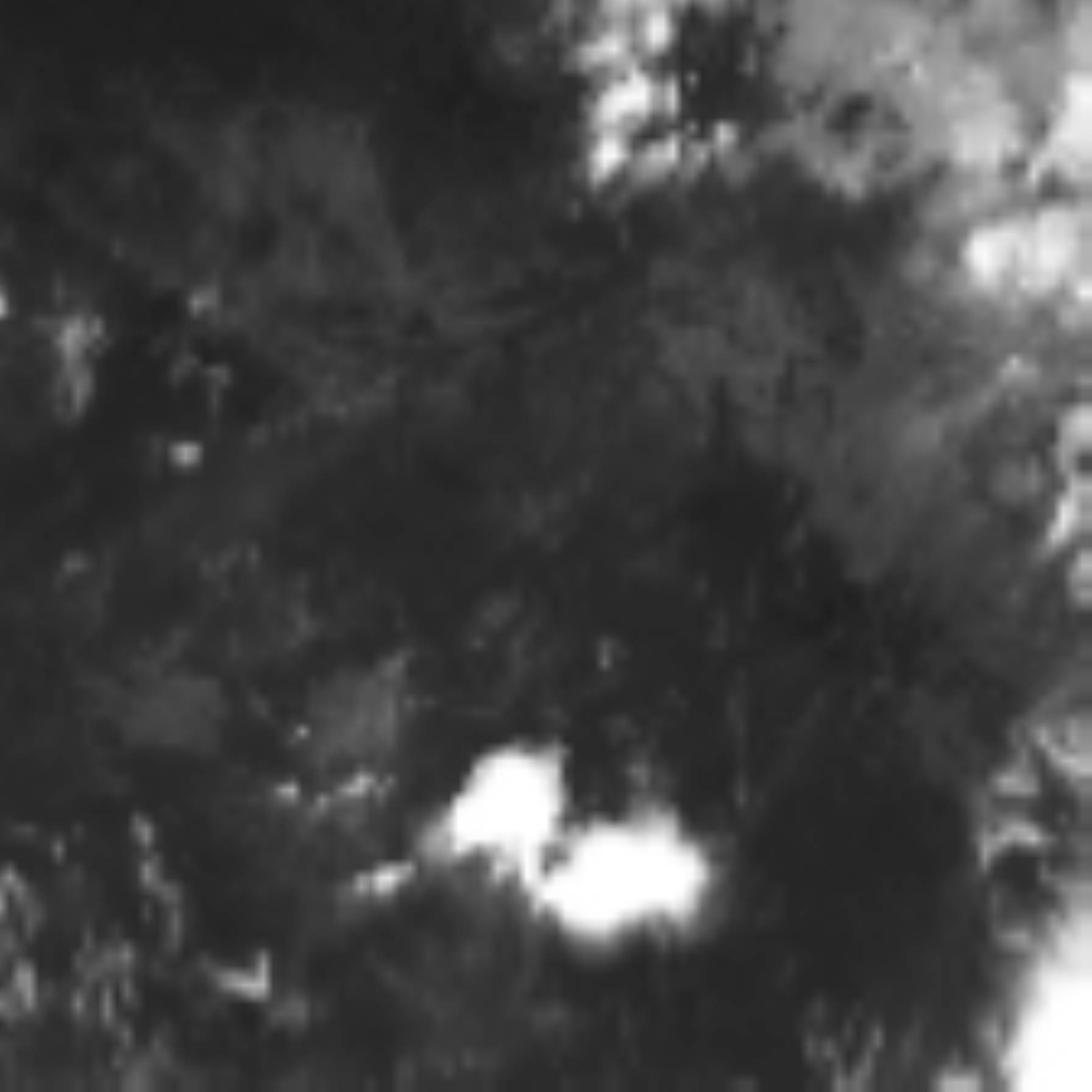 satLayer