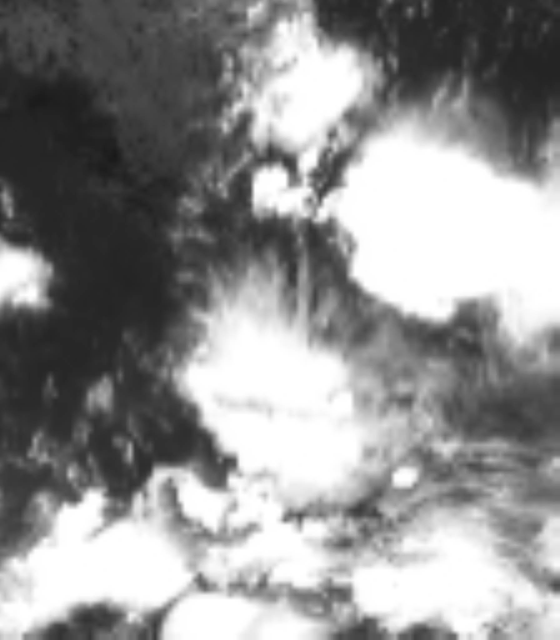 satLayer