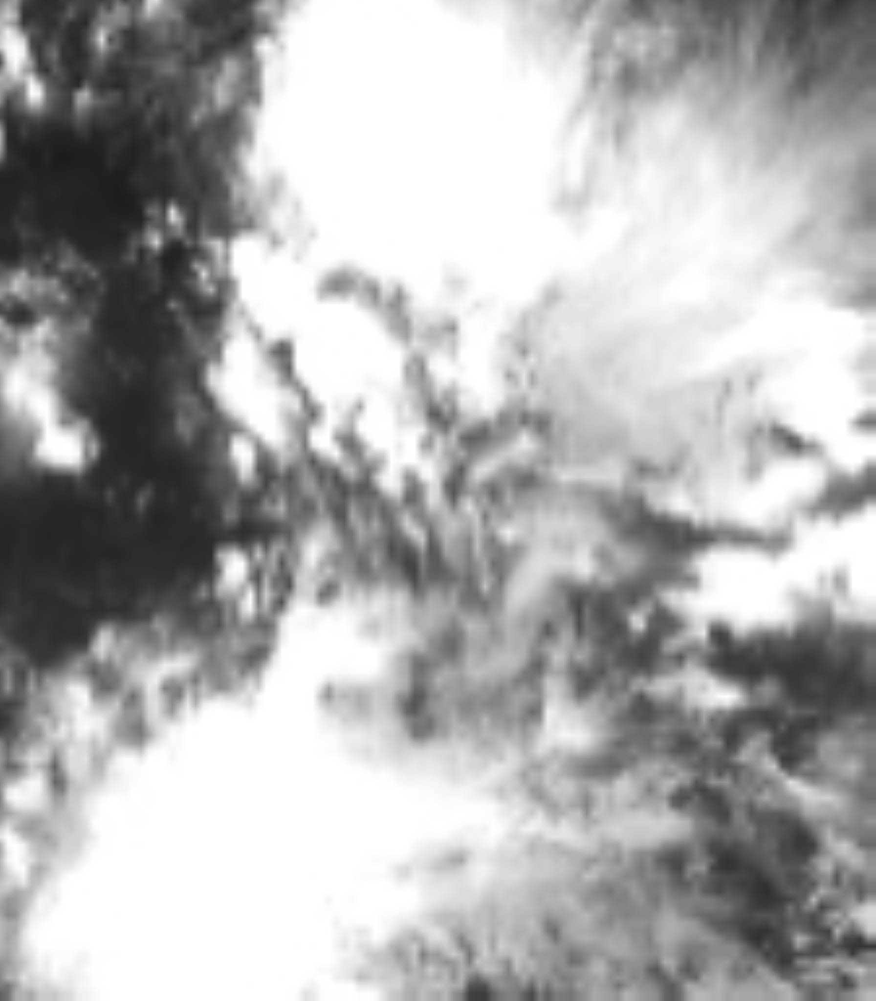 satLayer