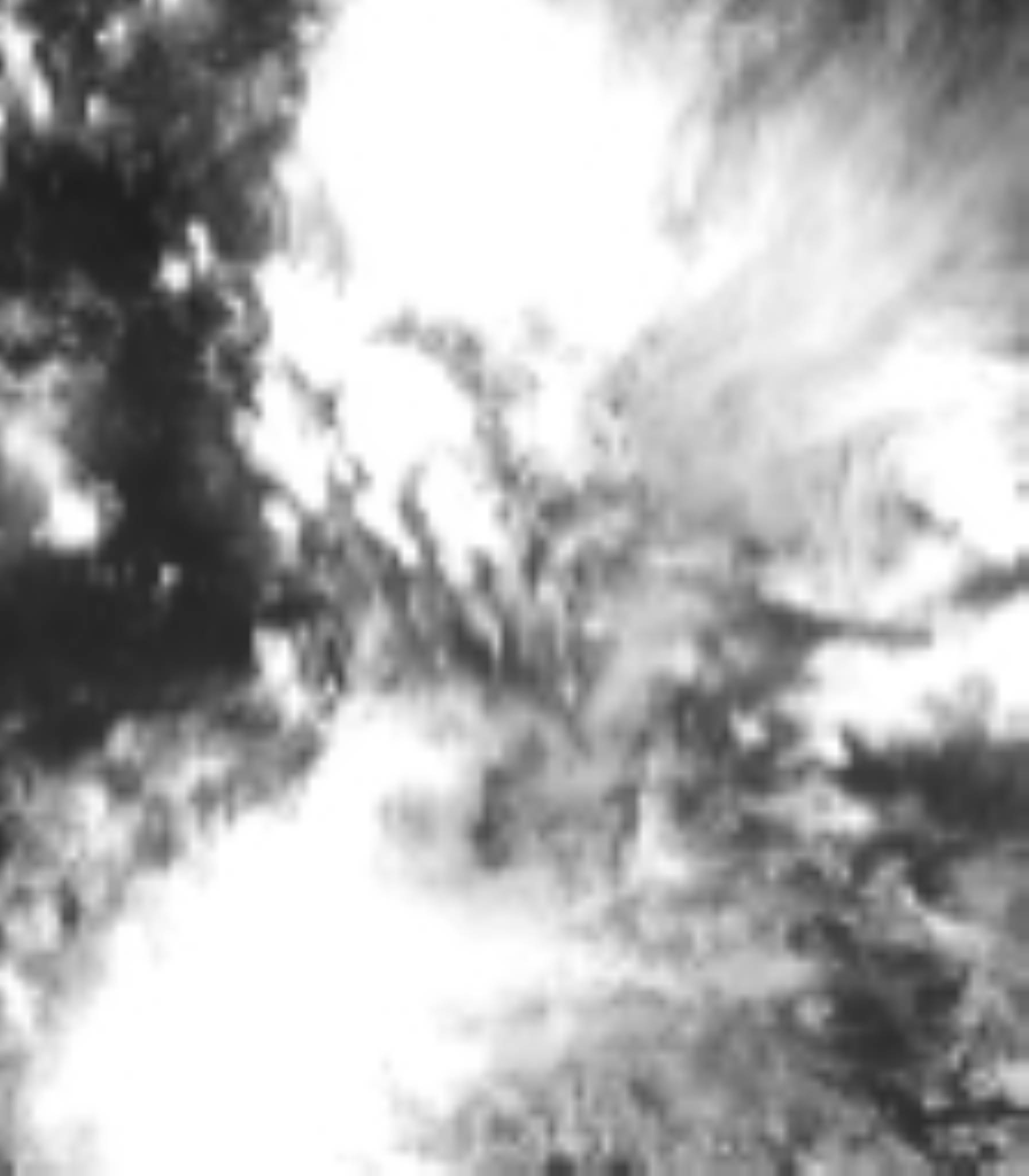 satLayer