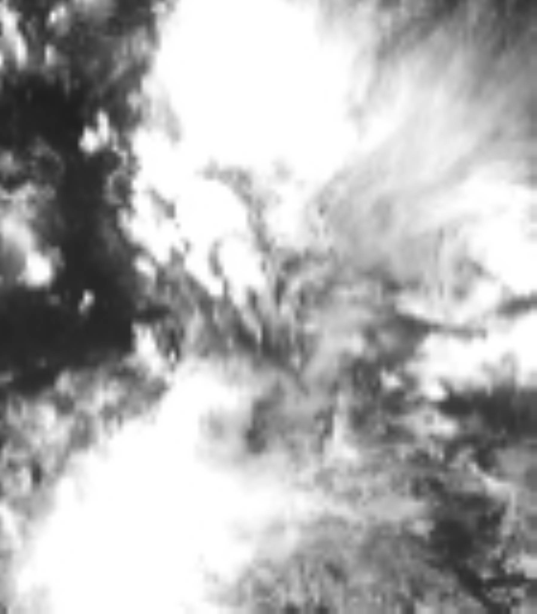 satLayer