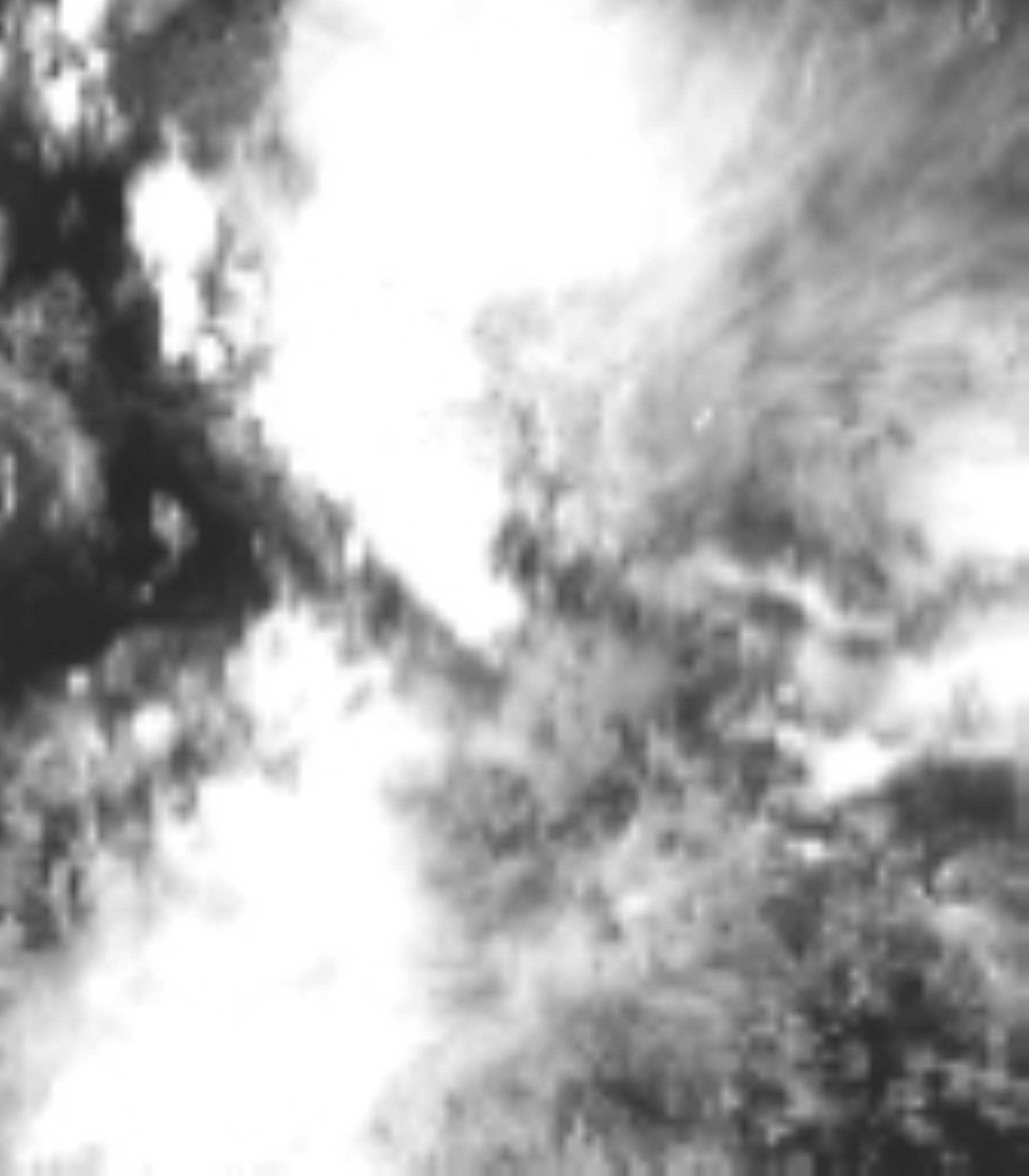 satLayer