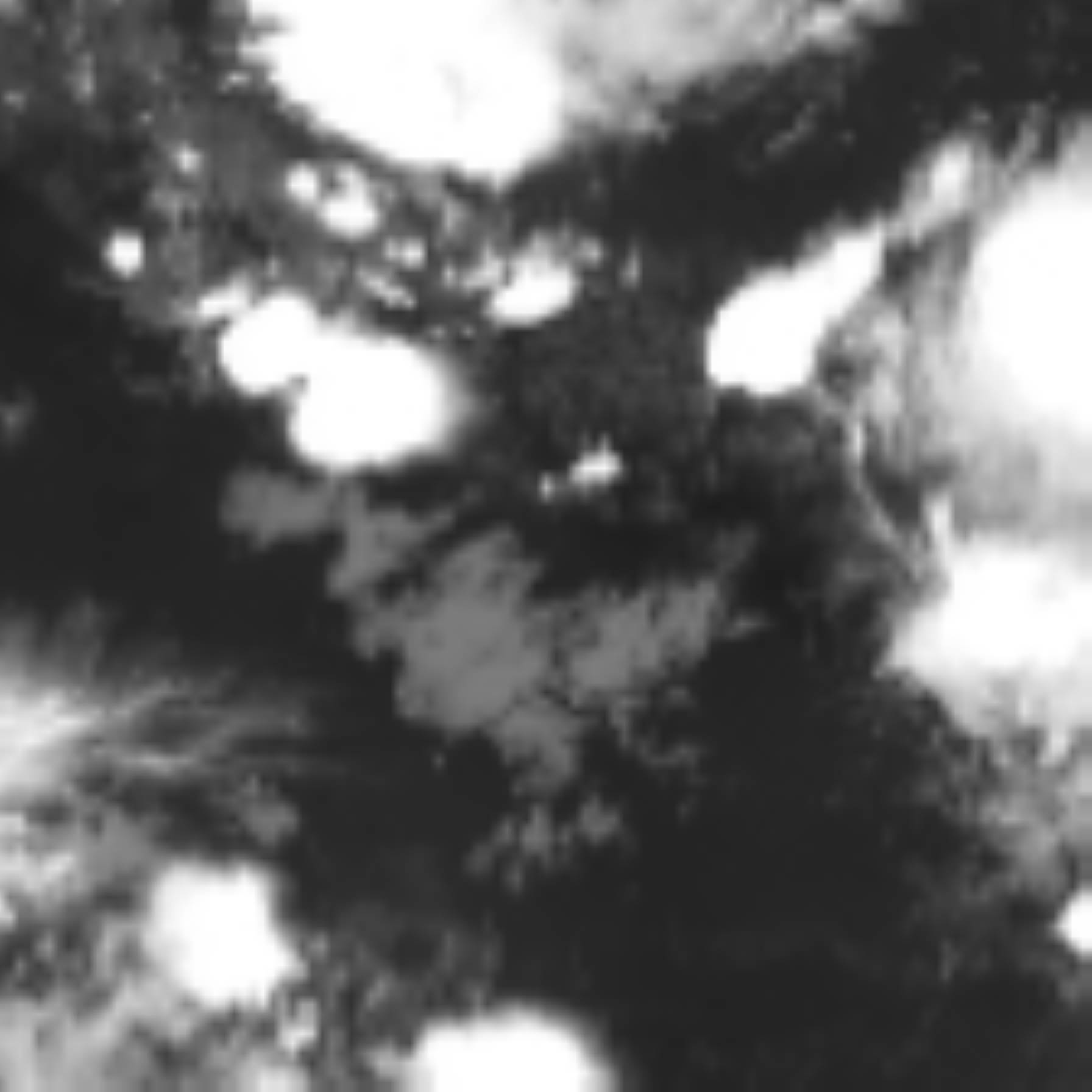 satLayer