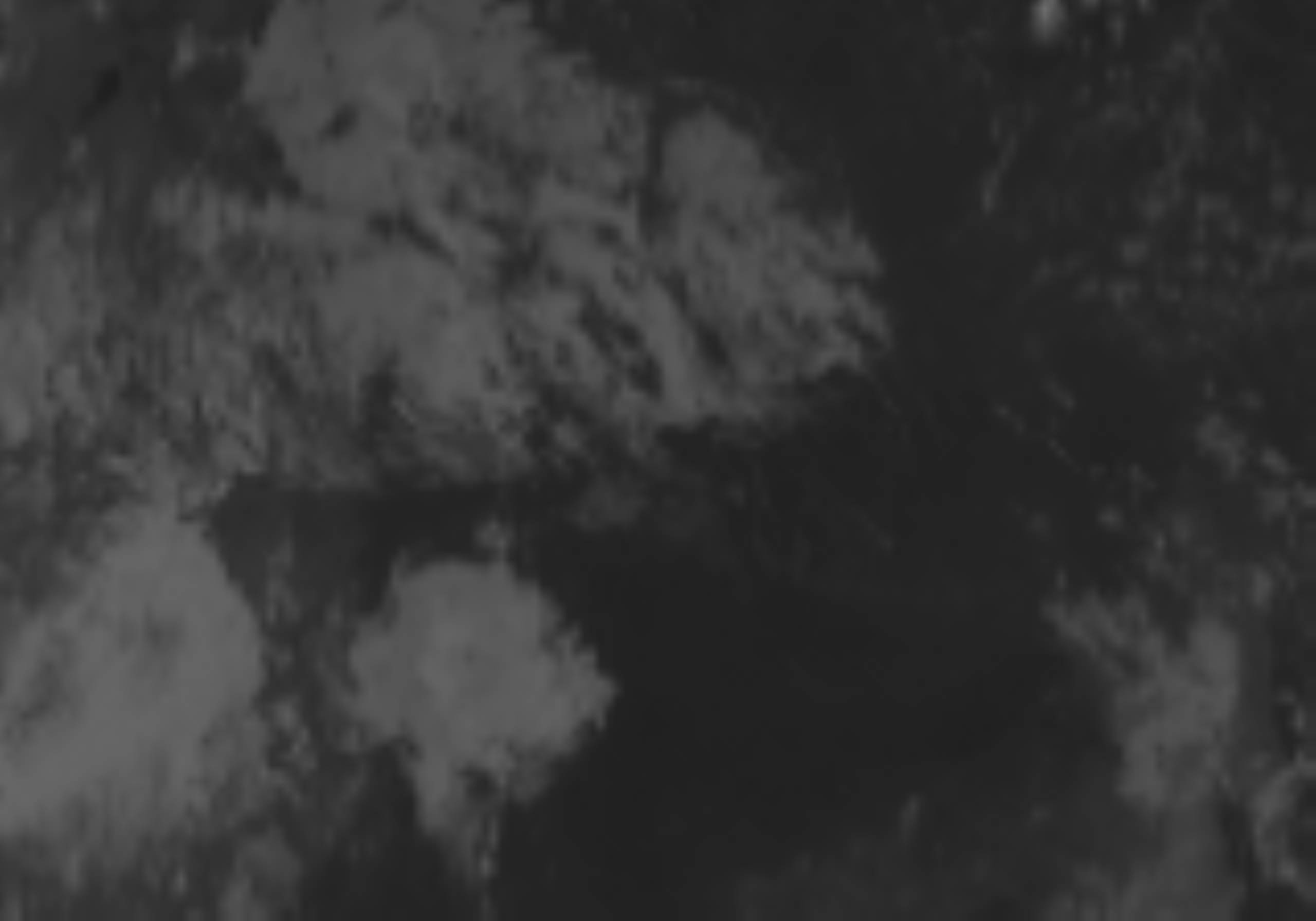satLayer
