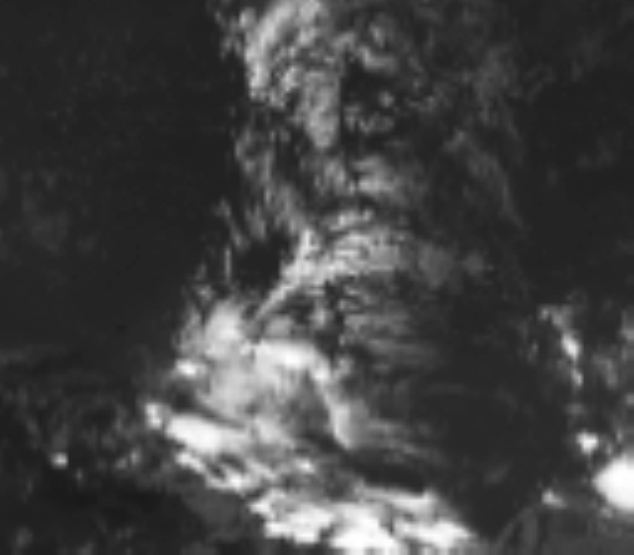 satLayer