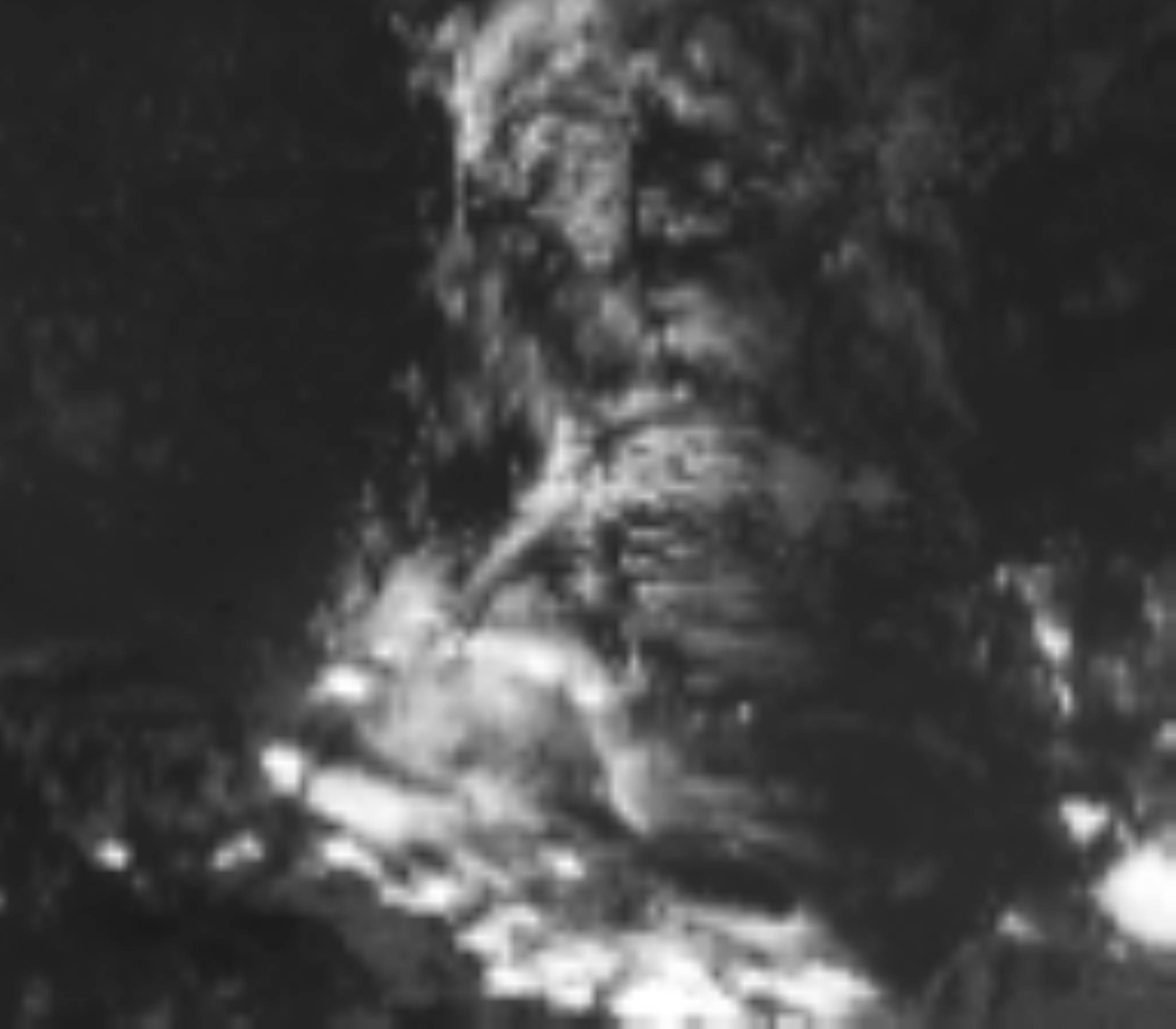 satLayer
