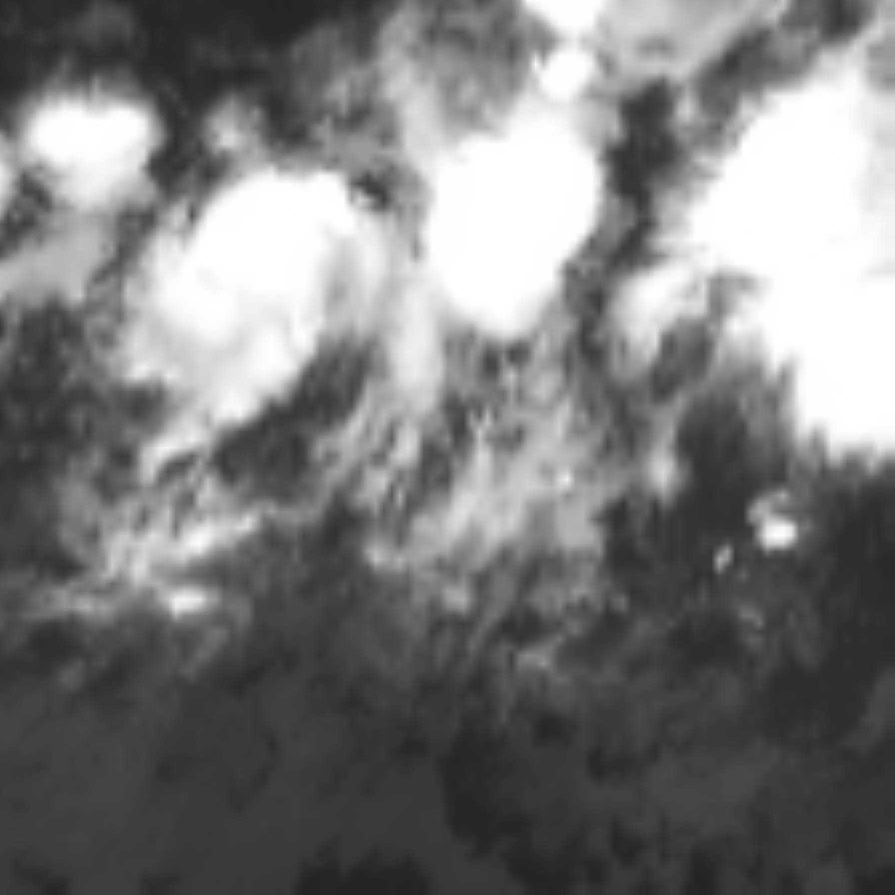 satLayer