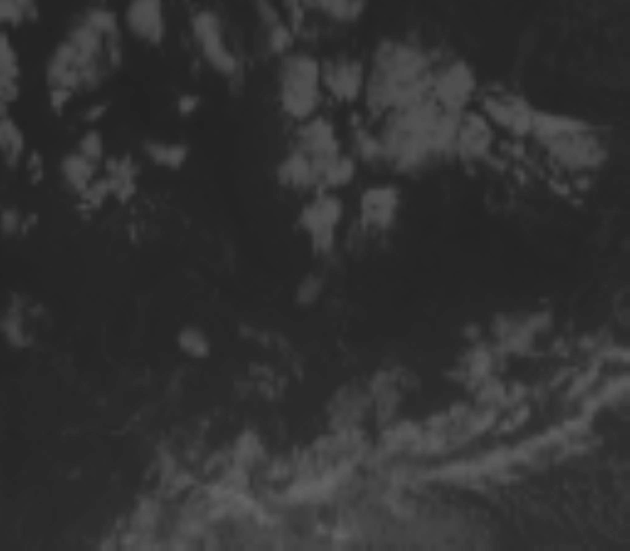 satLayer