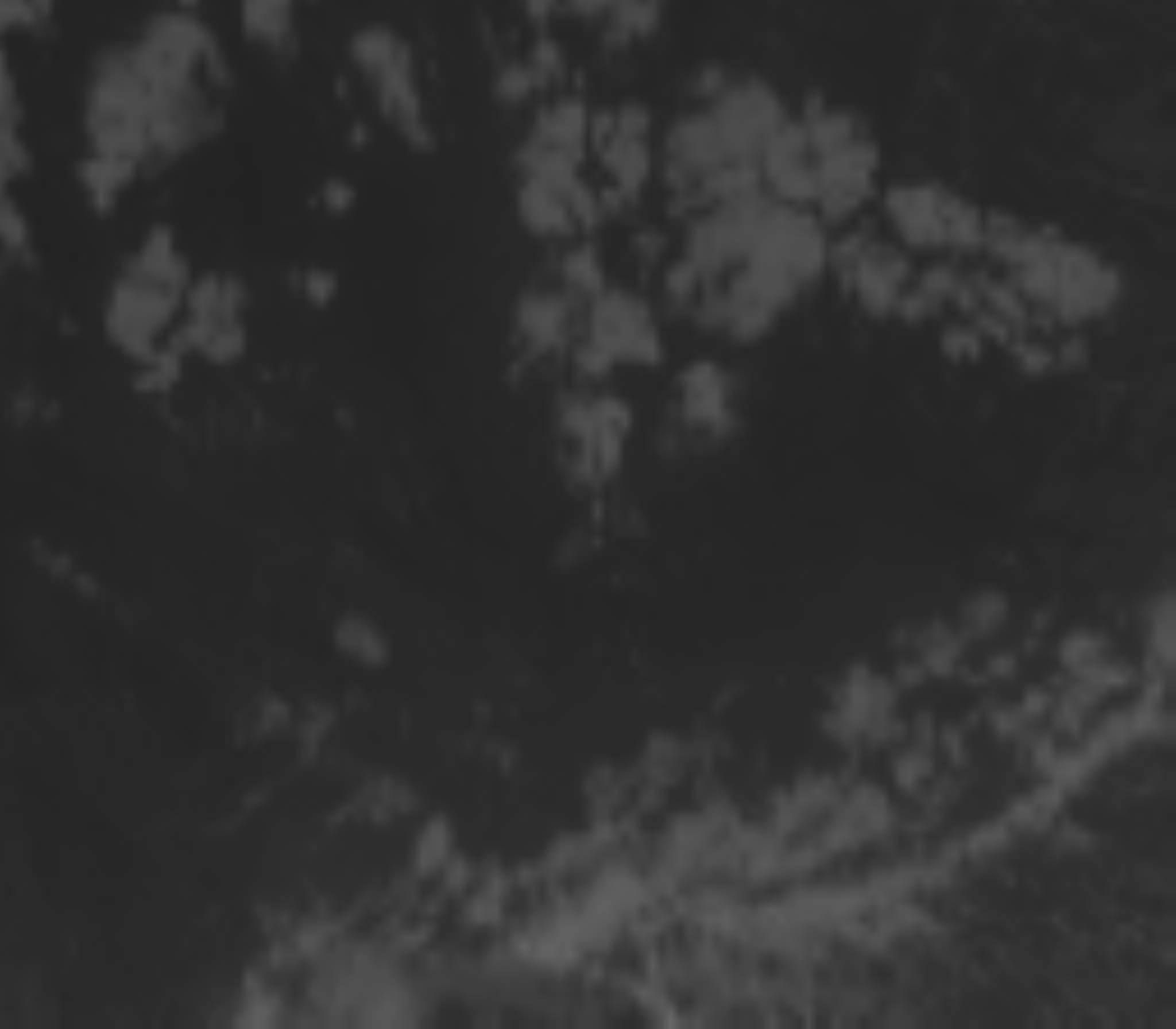 satLayer