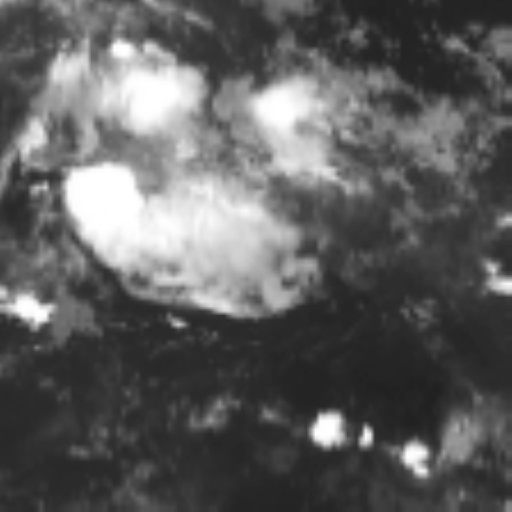 satLayer