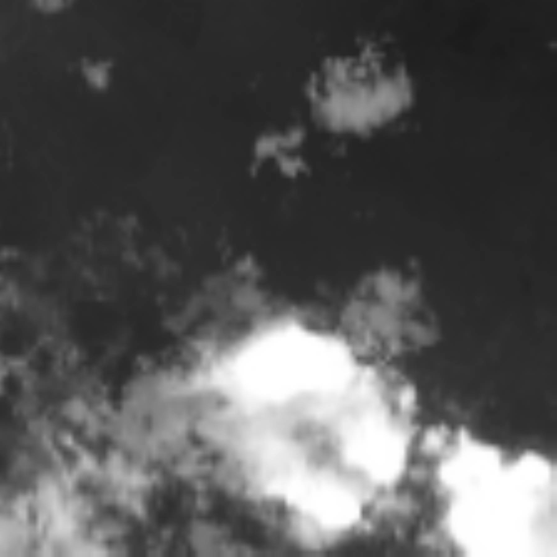satLayer