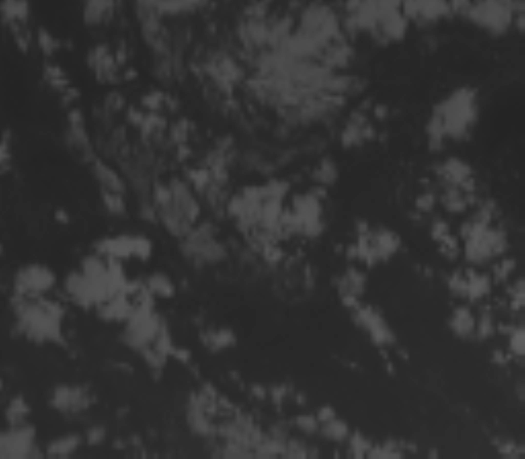 satLayer