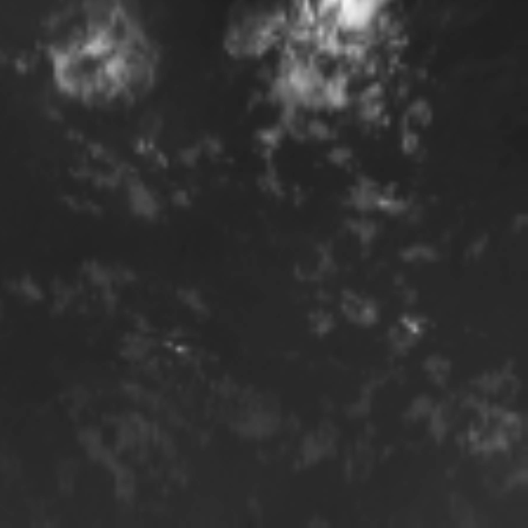 satLayer