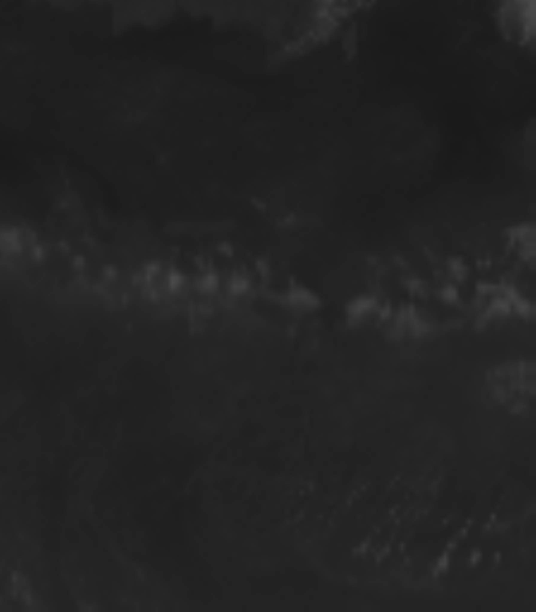 satLayer