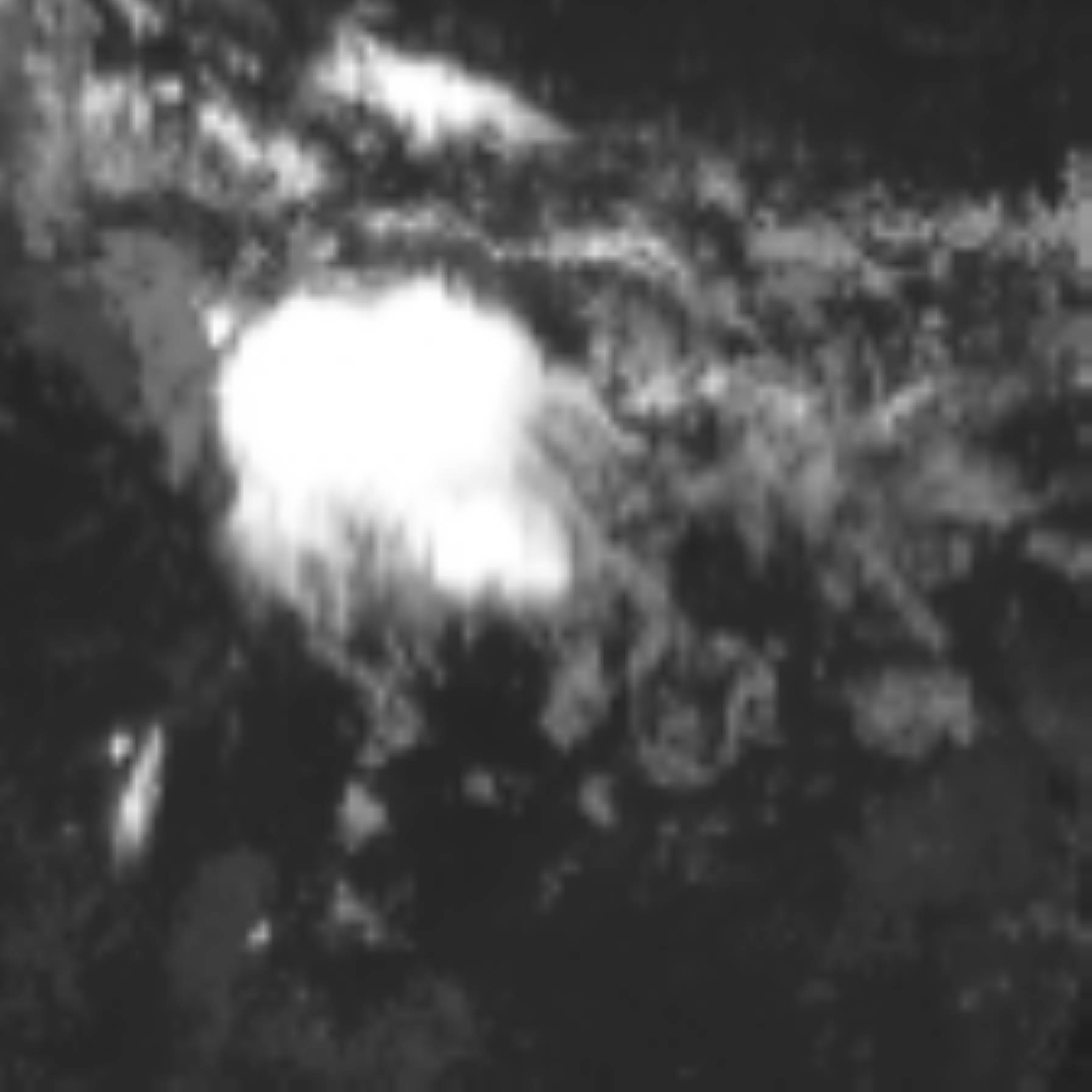satLayer